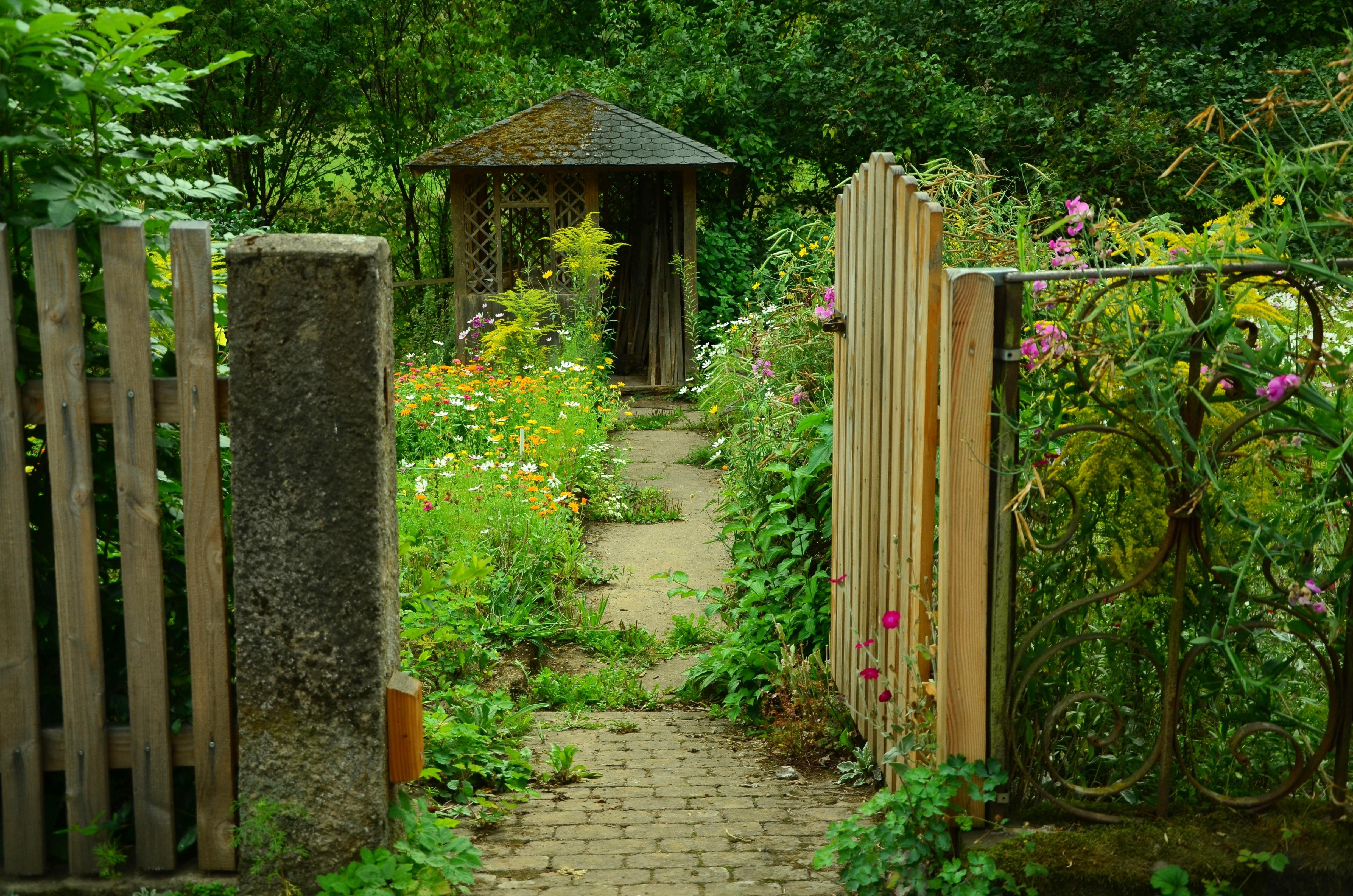 Garden Door, Cottage Garden, Garden, gate, wood free