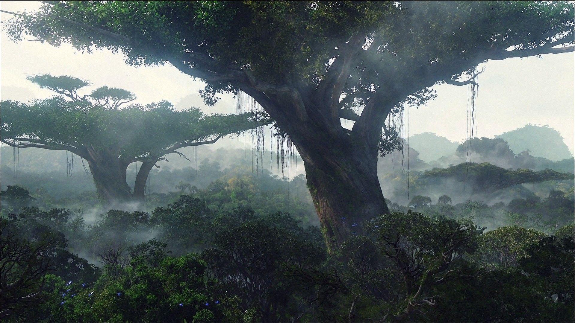 Fog Tag wallpaper: Sky Landscapes Reflection Fog Trees Forest