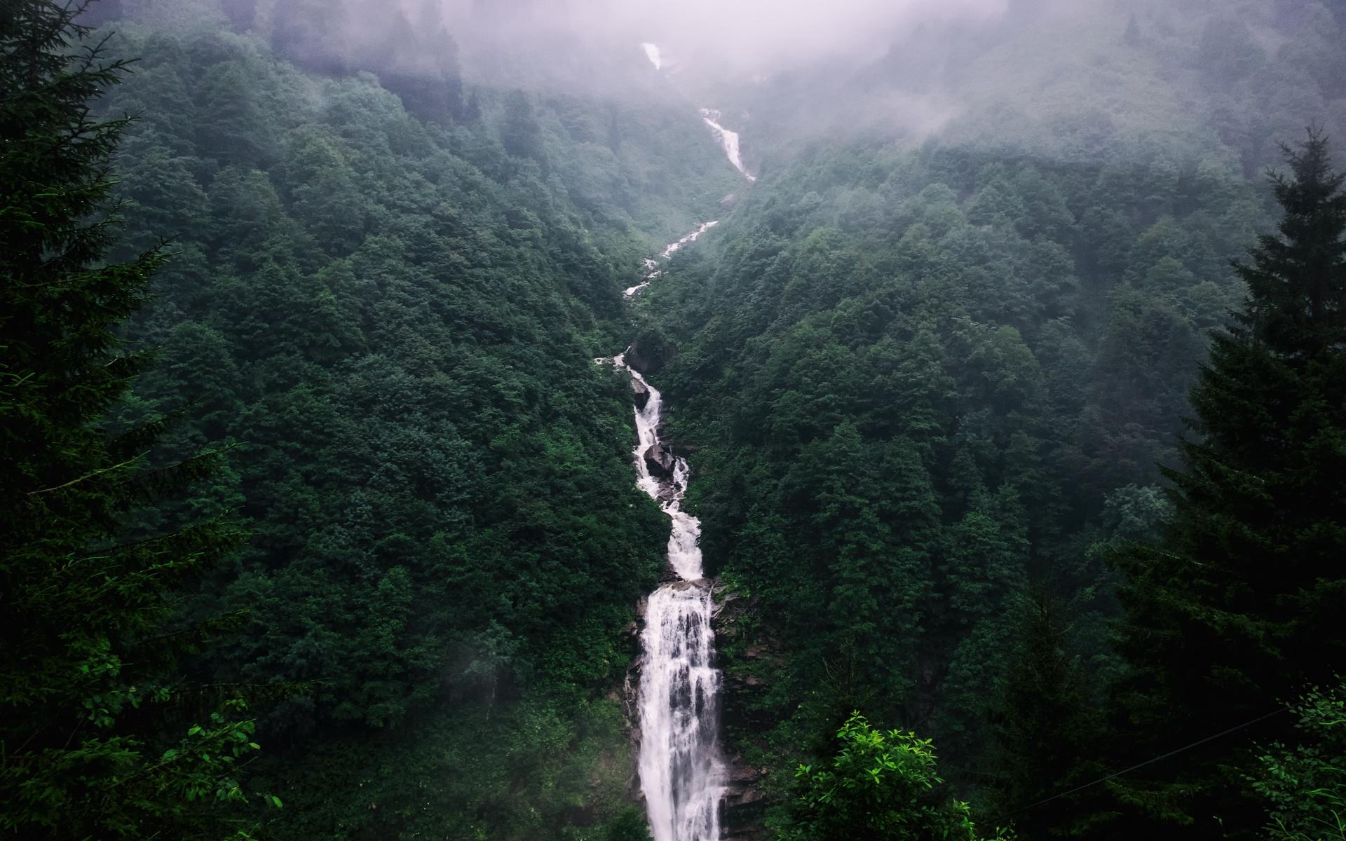 Download wallpaper 1920x1200 waterfall, trees, fog widescreen 16:10