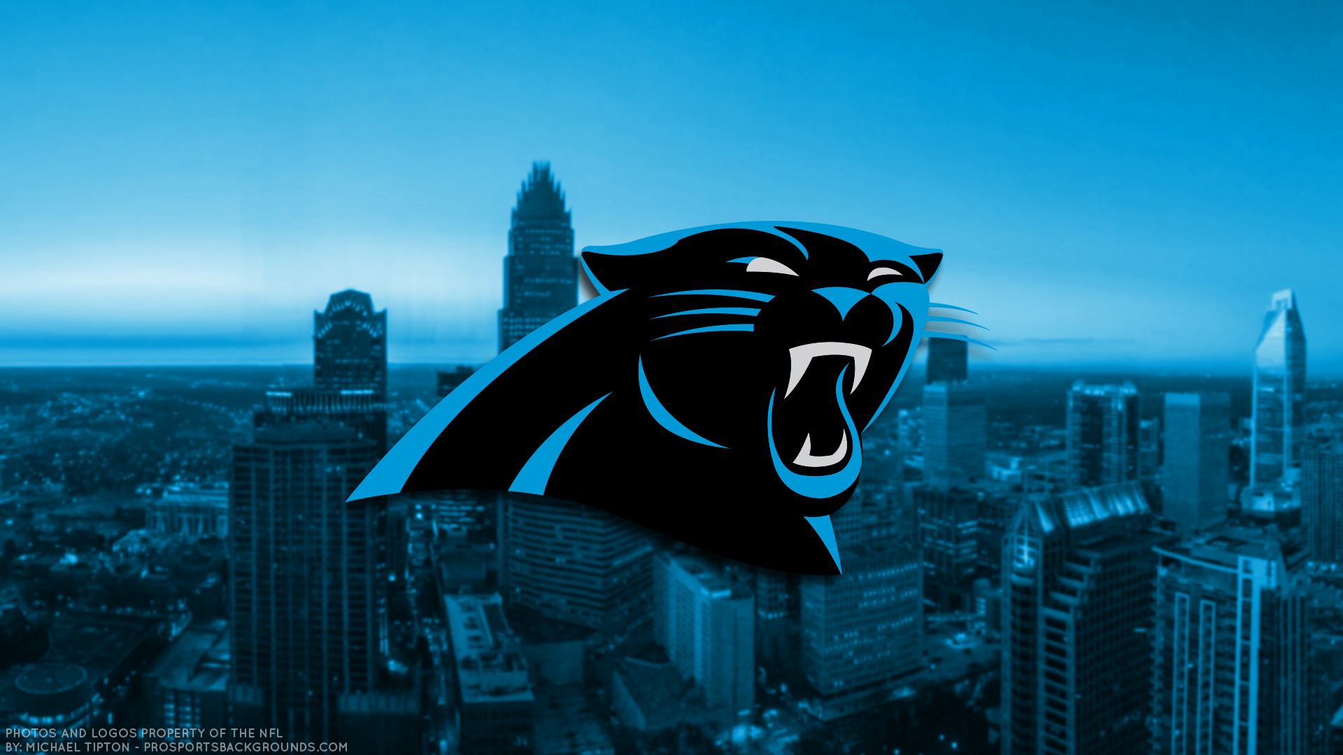 Carolina Panthers HD Wallpaper