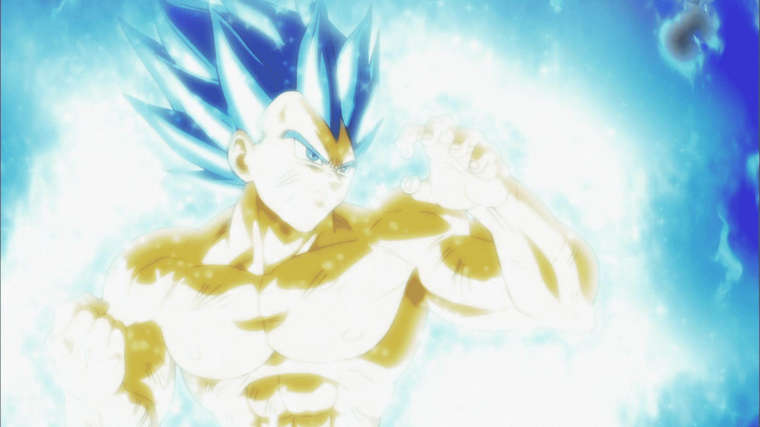 vegeta blue evolution