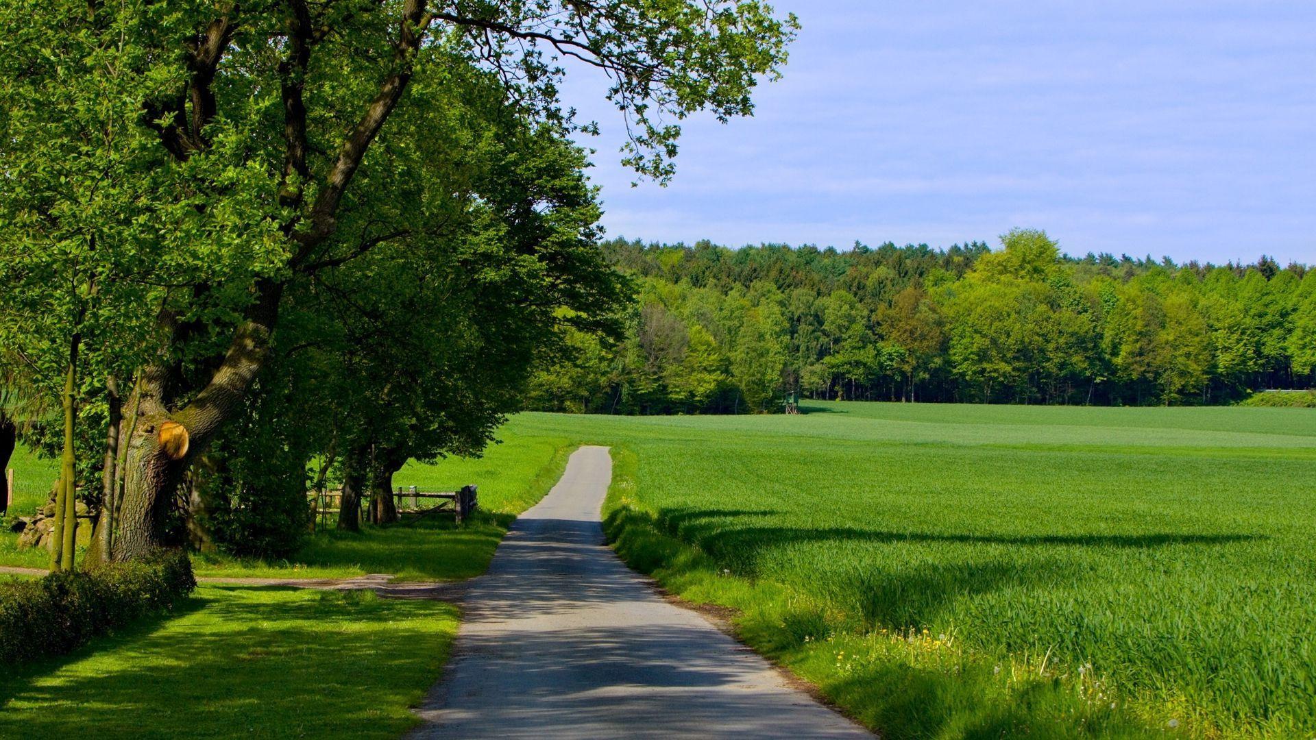 Countryside road on a summer day desktop wallpaper 29485