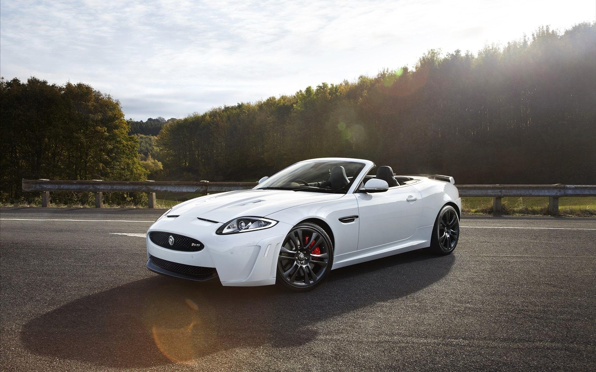 of jaguar 4K wallpaper for your desktop or mobile screen