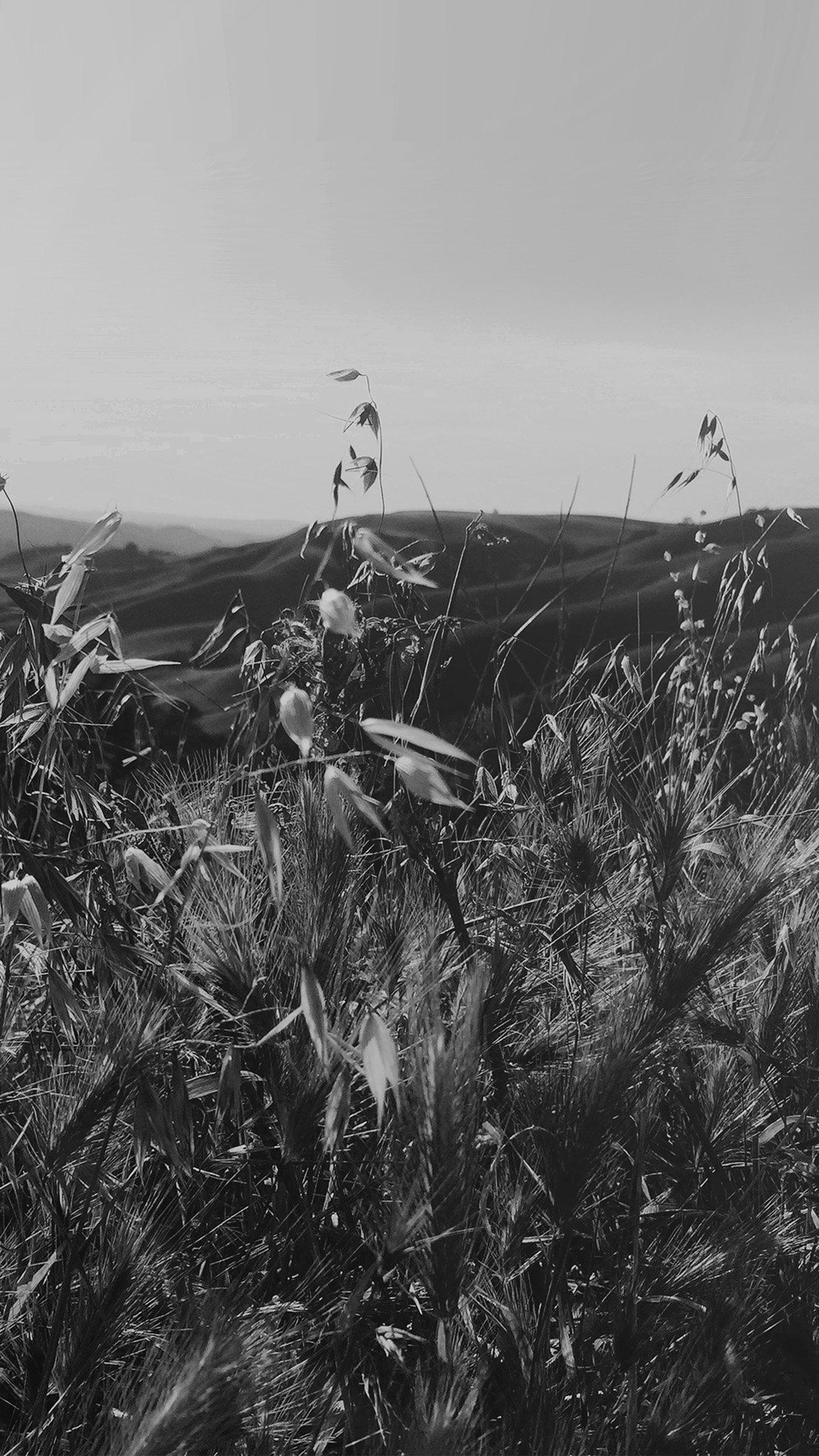 Sunny Summer Day Green Grass Nature Mountain Bw Dark Android