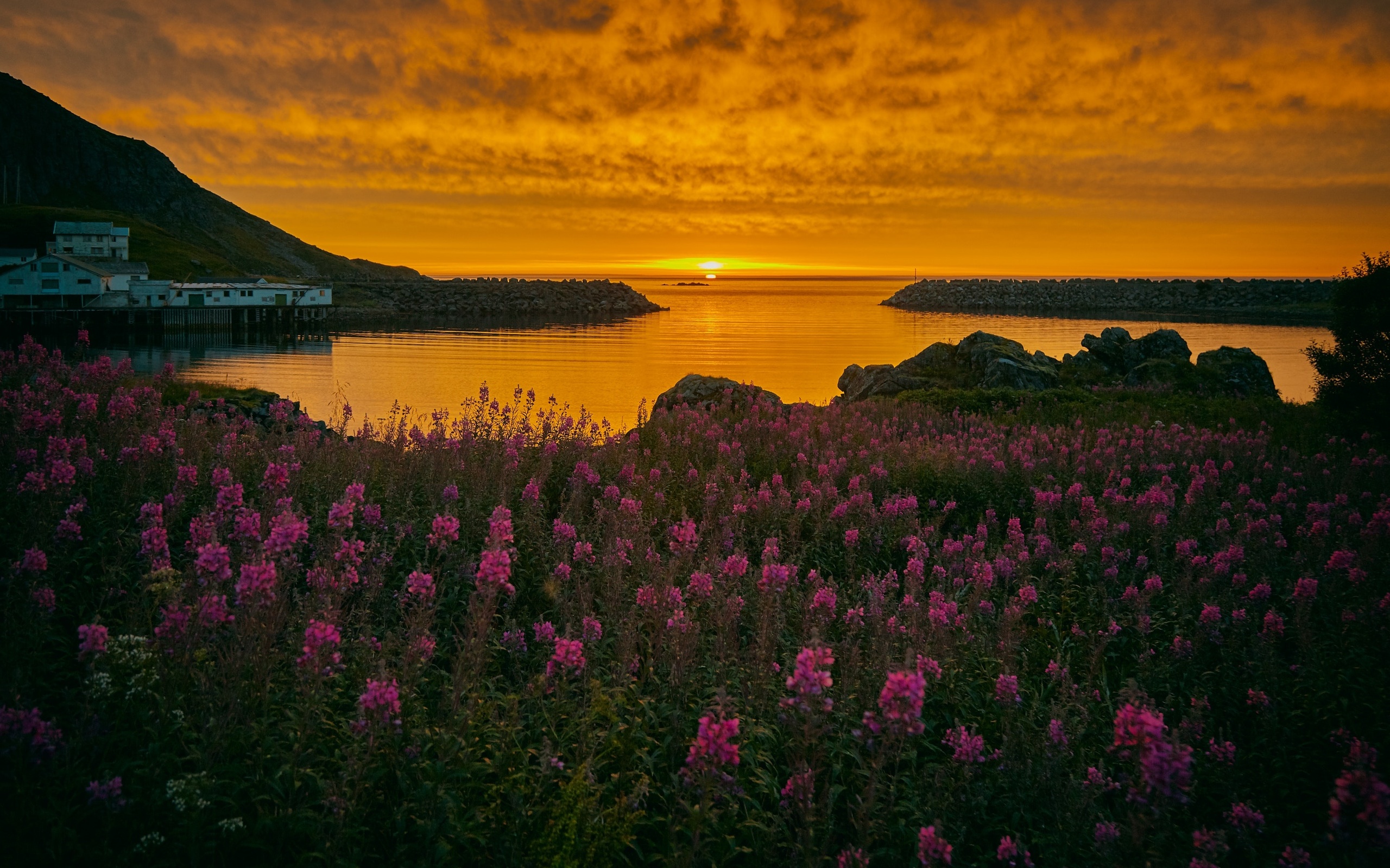 Download wallpaper Norway, sunset, sea, harbor, summer, Europe