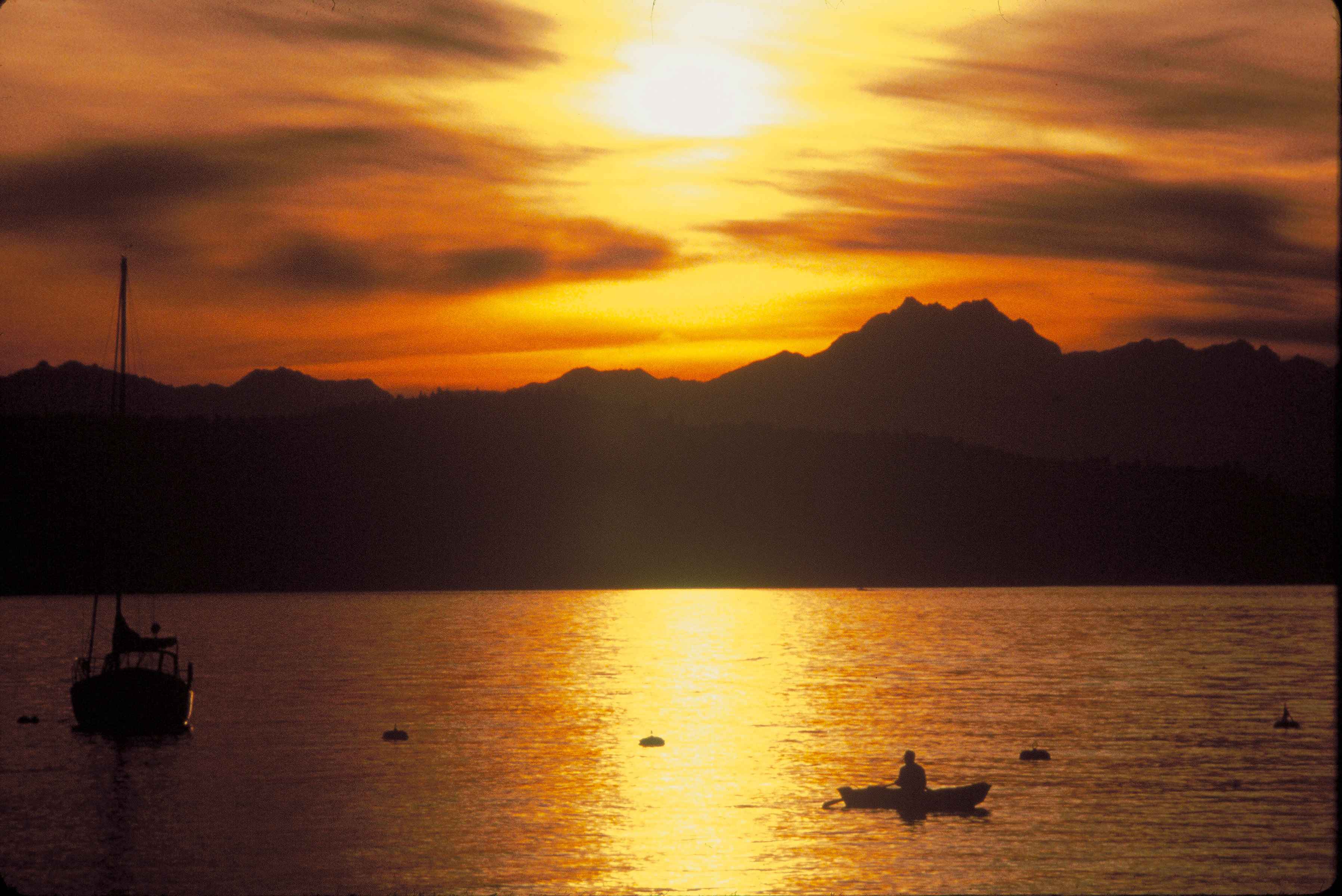 Free picture: safe, harbor, sunset, scene