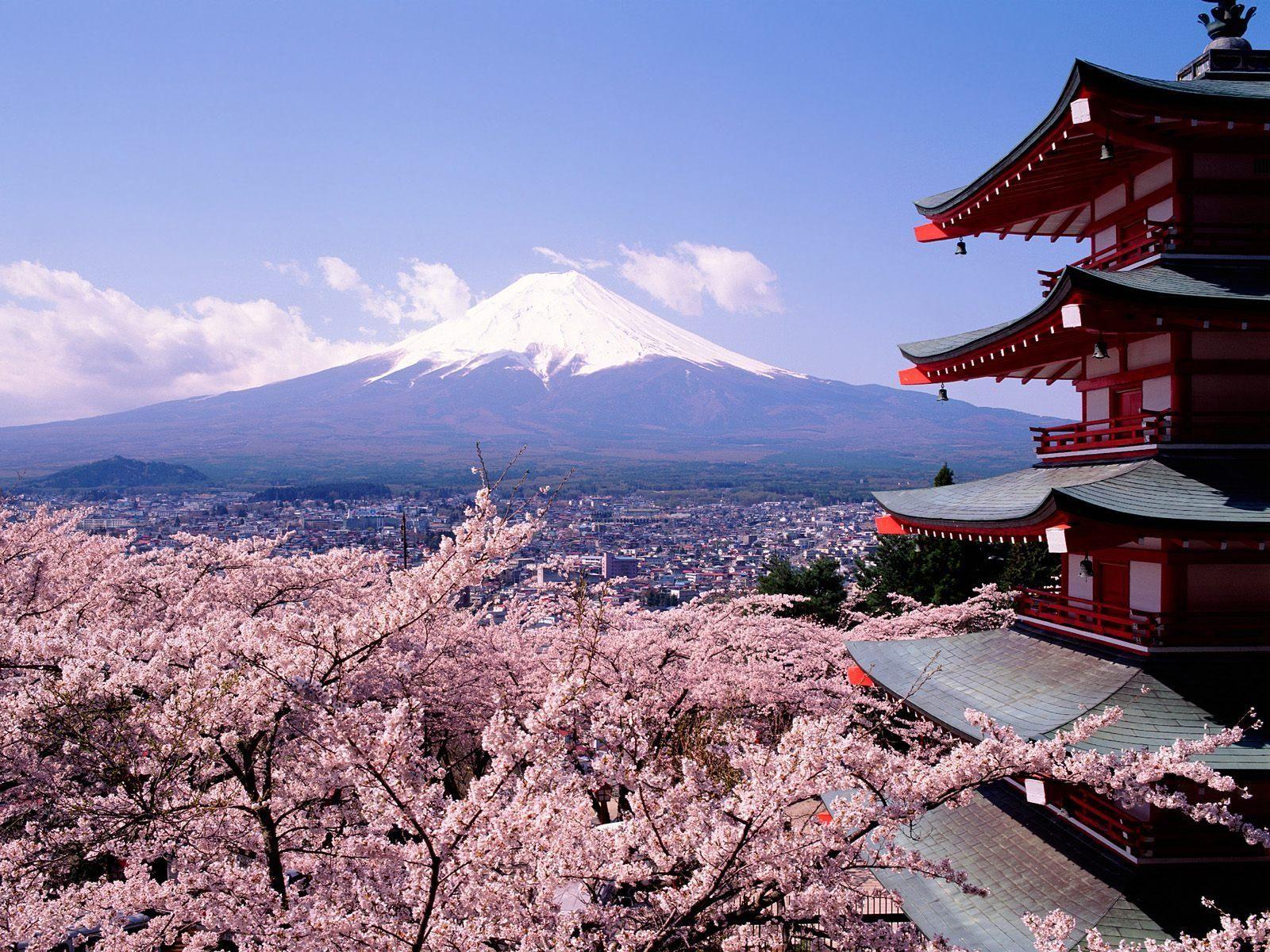 Japan Mount Fuji cherry blossoms Tokyo trees pagodas Japanese