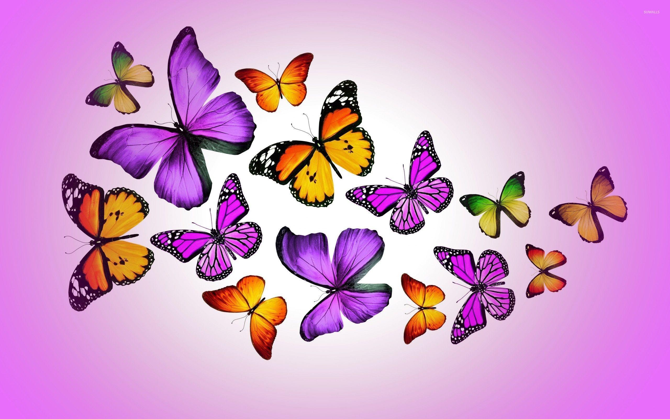 Purple Butterflies Wallpaper