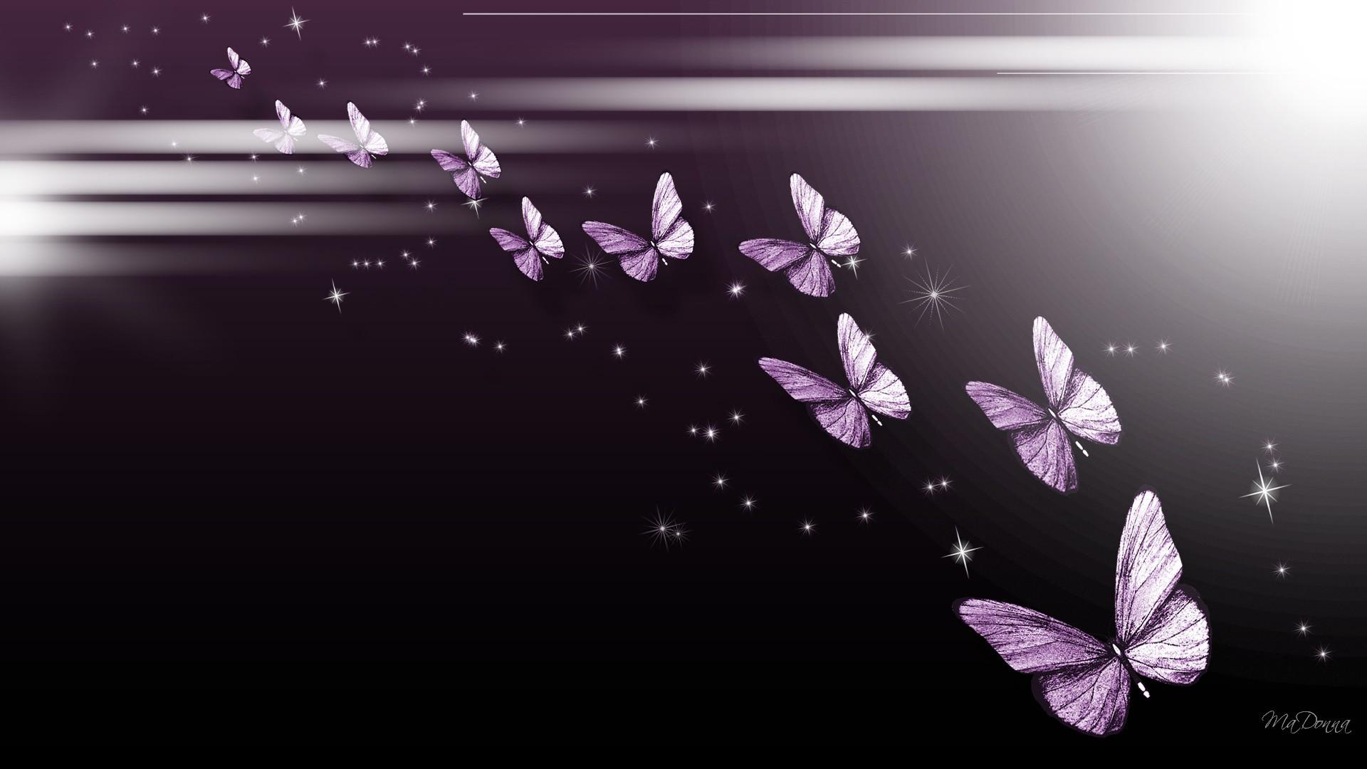 Purple Butterflies Wallpaper
