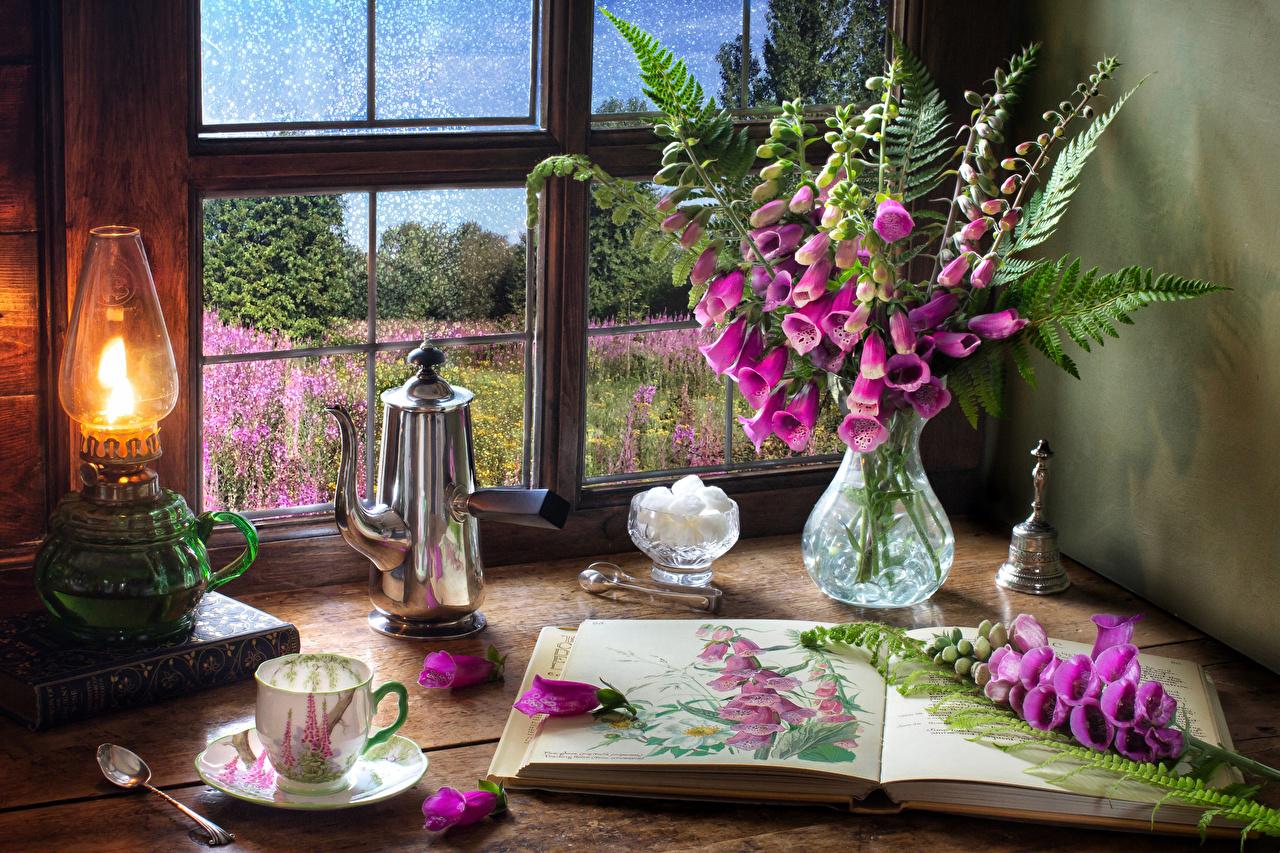image Kerosene lamp flower Kettle Digitalis Cup Vase Food books