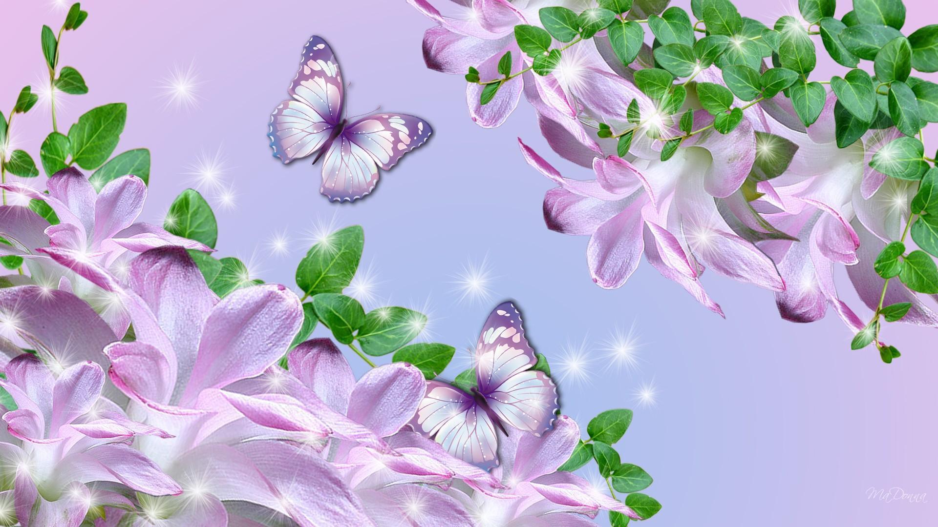 Essence Of Lavender HD desktop wallpaper, Widescreen, High