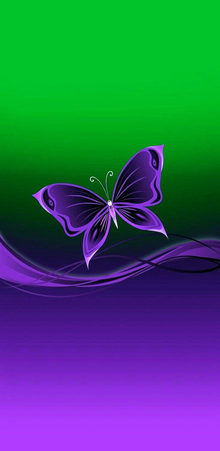 Lavender And Butterflies Wallpapers Wallpaper Cave