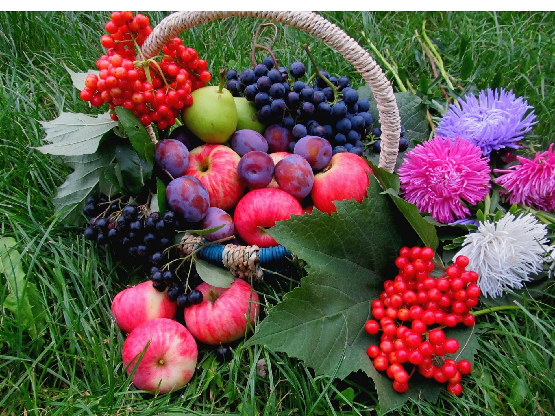 Wallpaper Fruits, grass, grapes, apples, plums, berries, flowers
