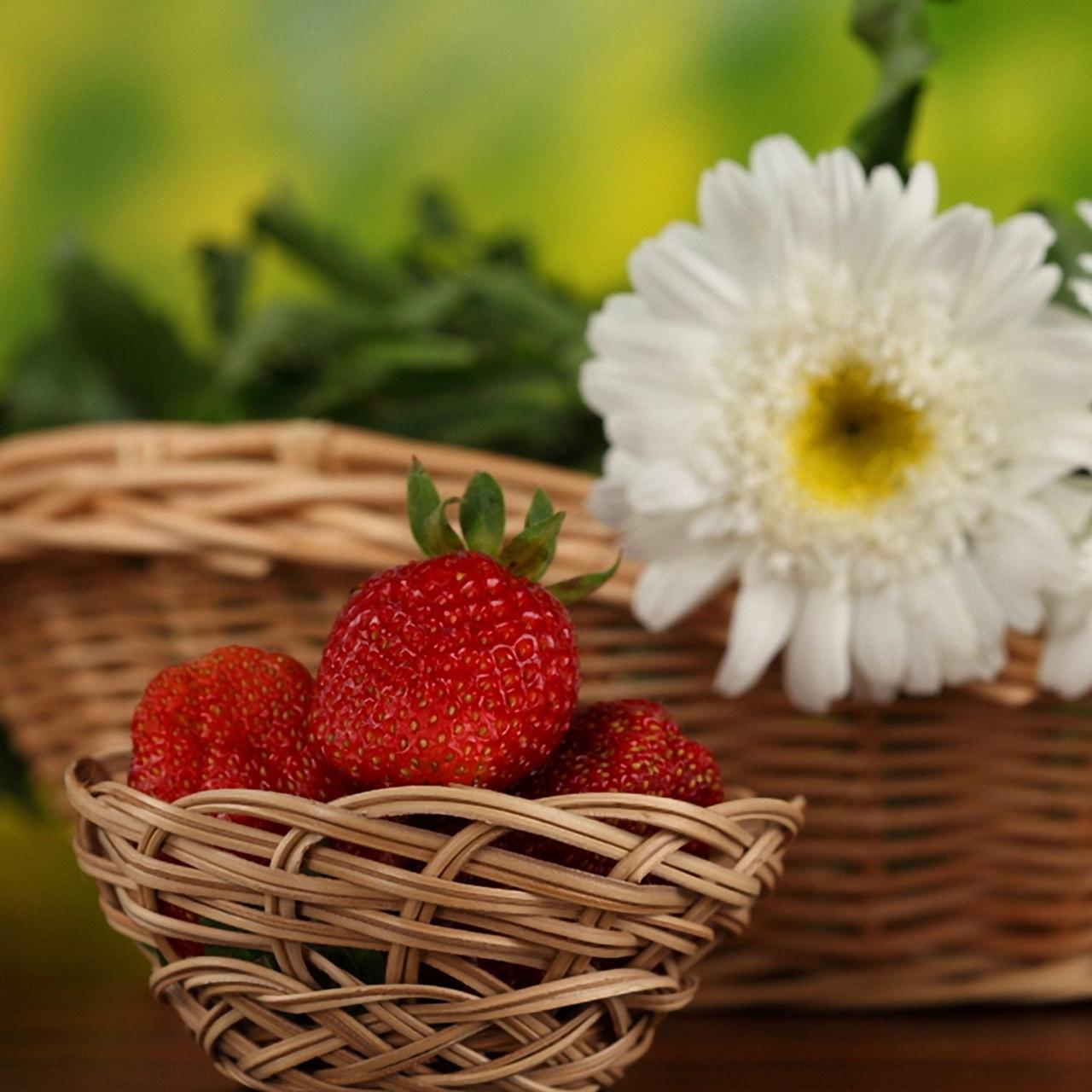 Download wallpaper 1280x1280 strawberries, flowers, basket, berries