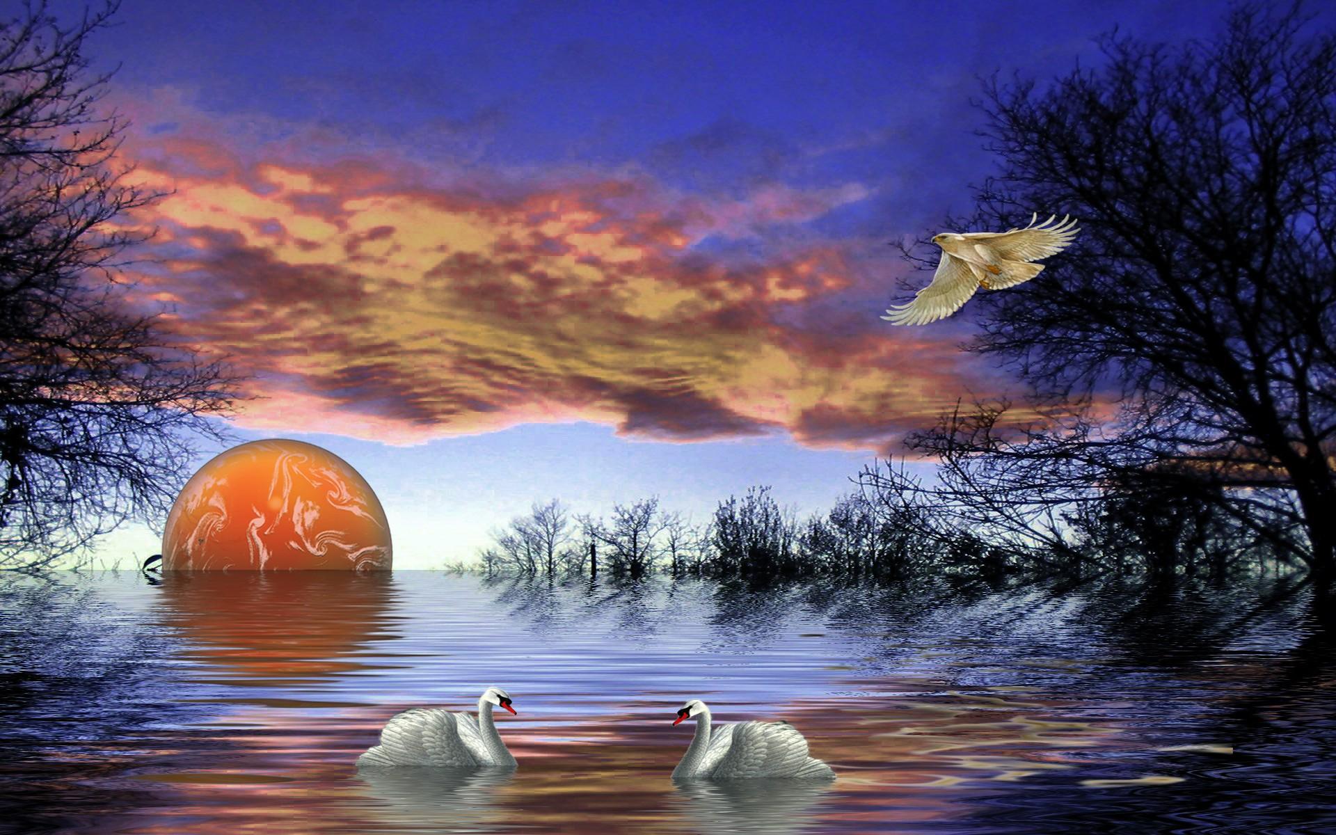 Lakes: Summers Evening Peaceful Water Eve Swans Lake District