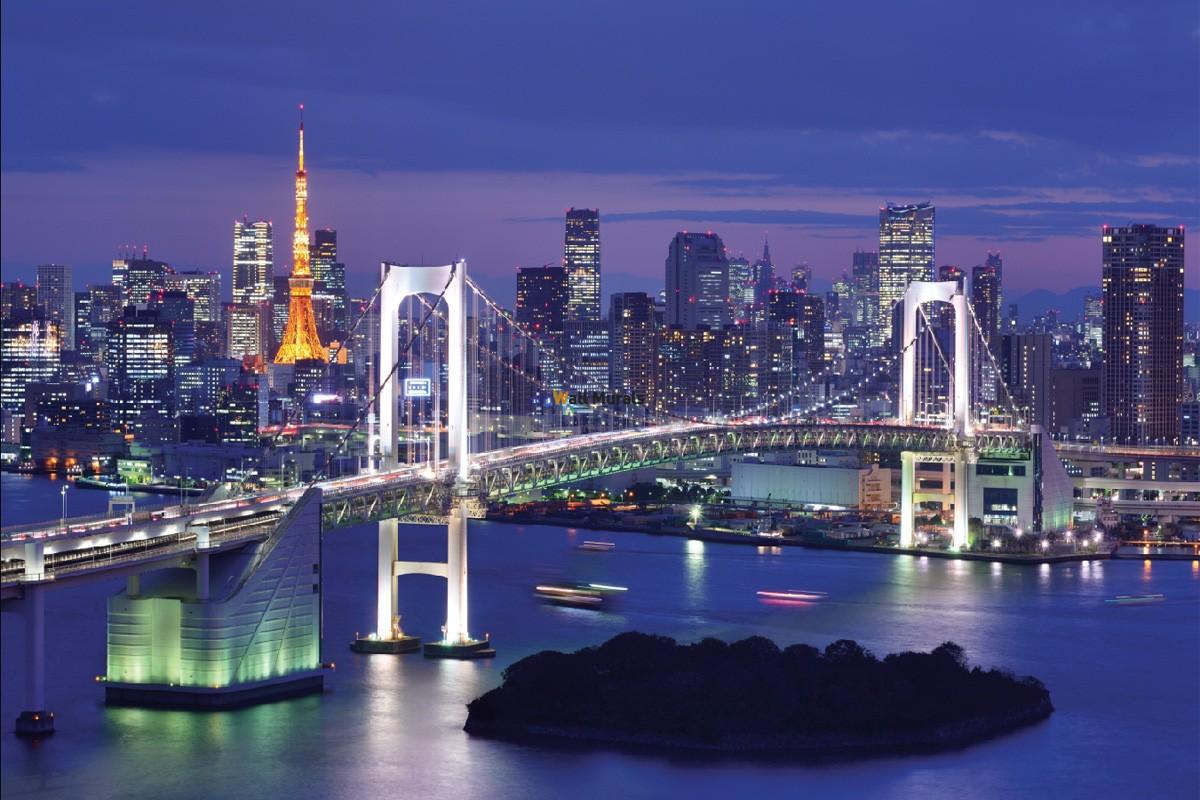 Wallpaper beautiful night view of a bridge in Tokyo