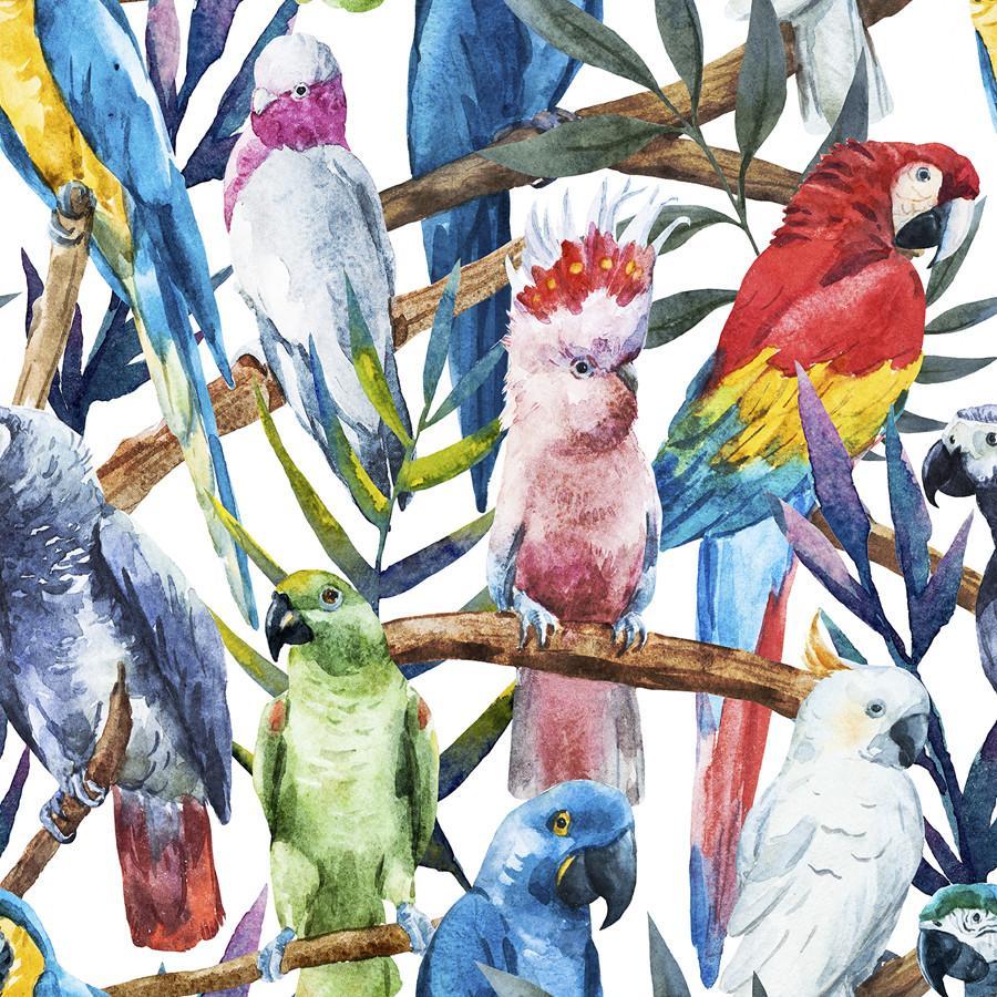 Paradise of Birds. Removable Peel and Stick Wallpaper
