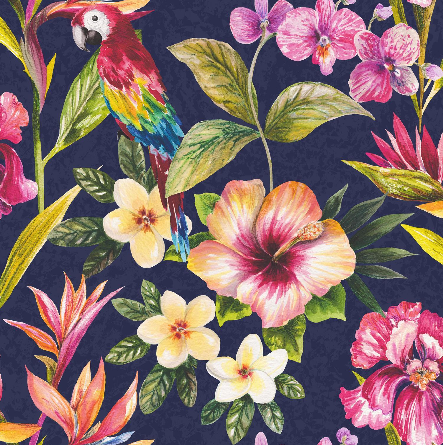 Bird of paradise wallpaper Gallery