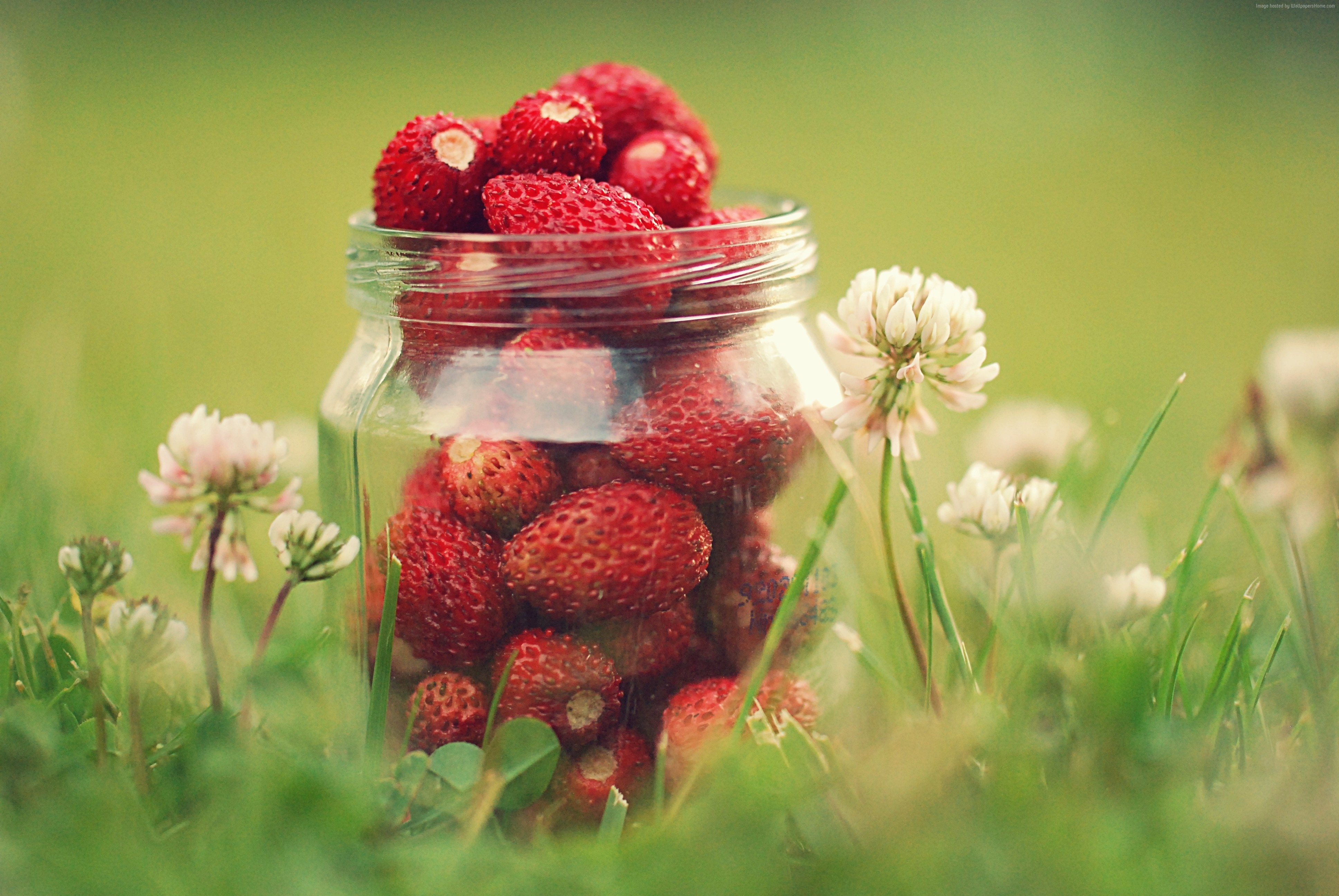 #greens, #strawberries, #flowers, #bokeh, #dandelions. Food