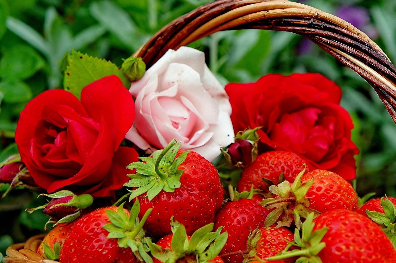 image Roses Strawberry Food Fruit