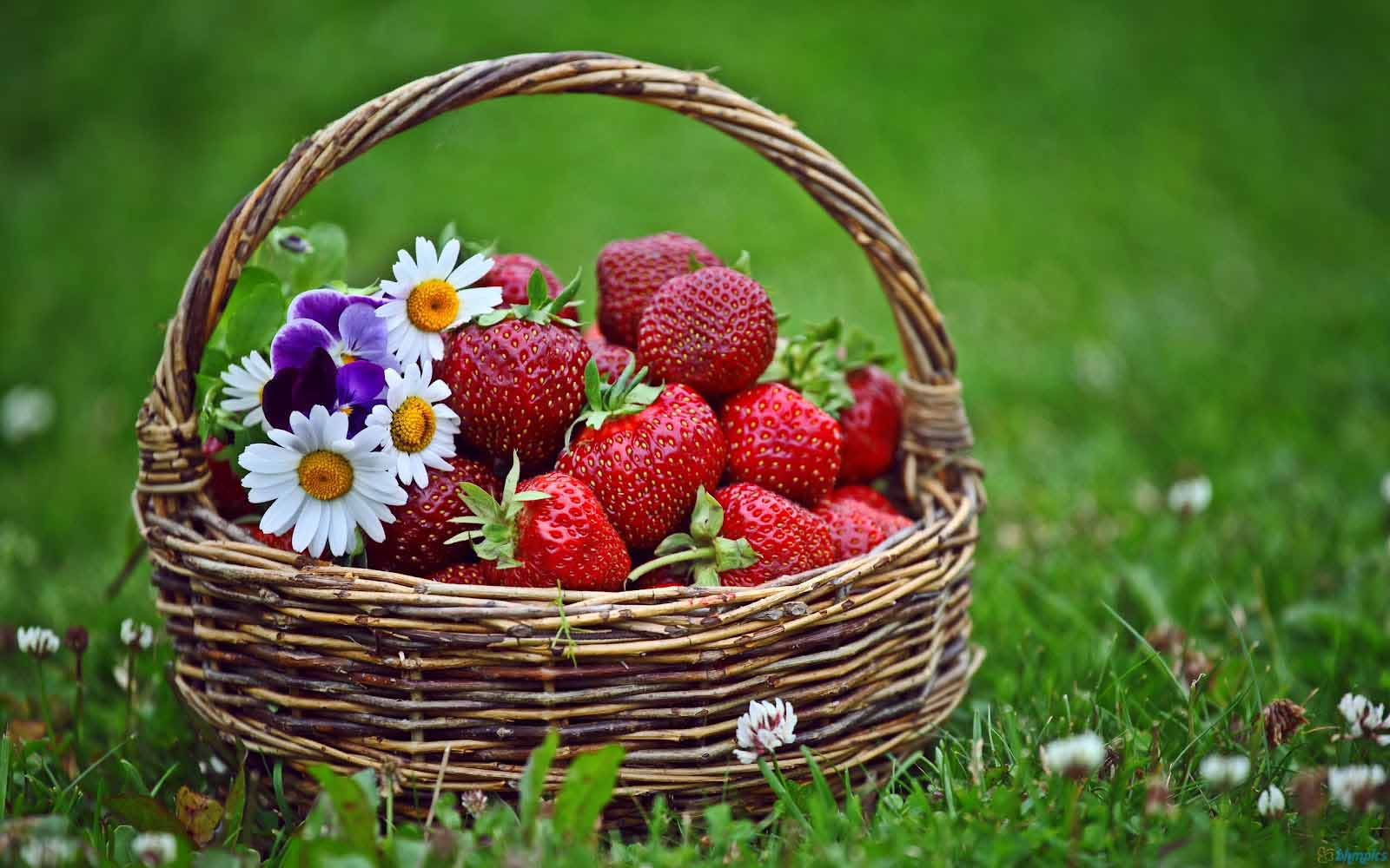 Flowers And Strawberries Baskets Wallpaper Download