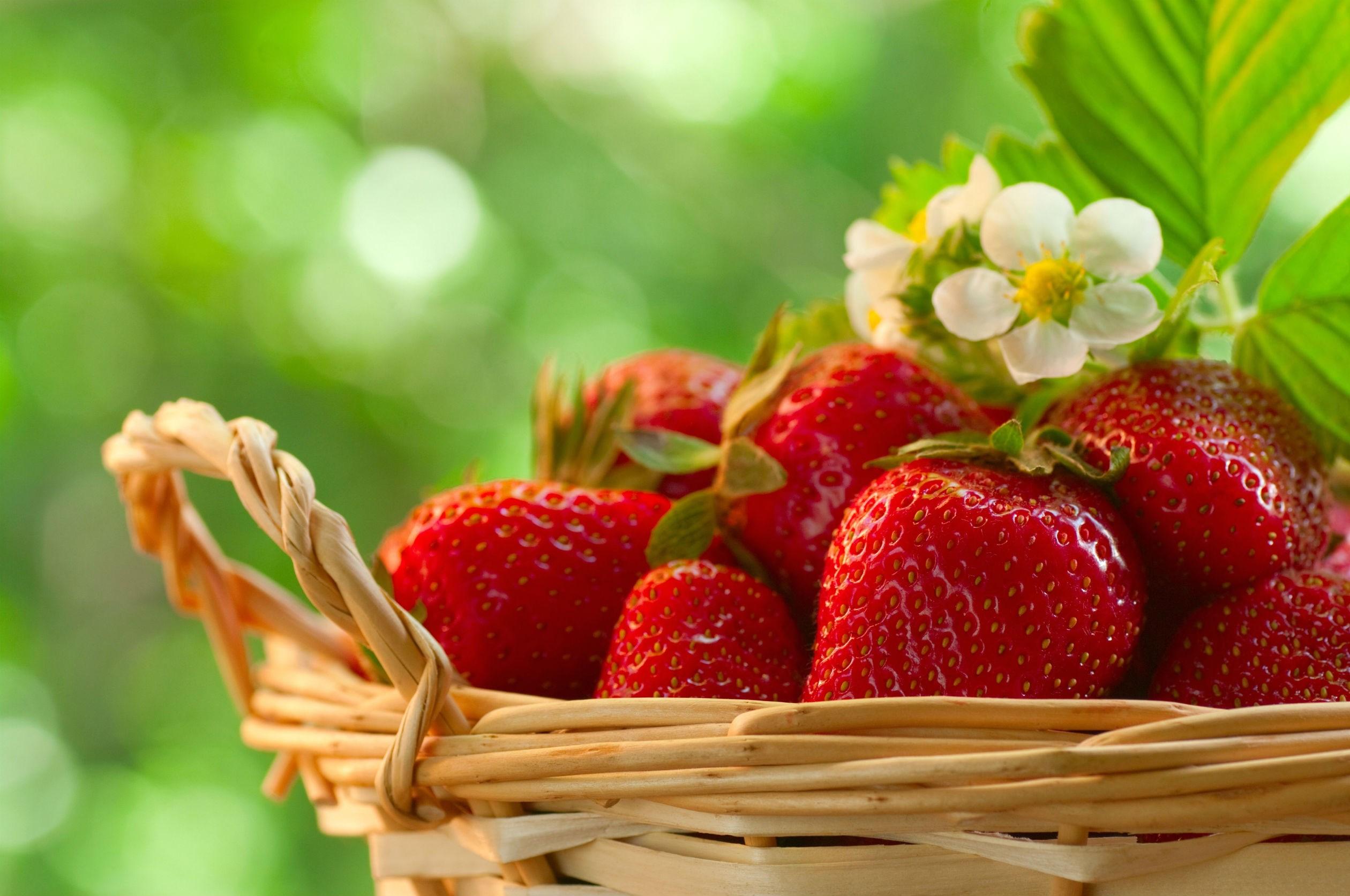 Fruit Strawberry Food Strawberries Wallpaper [2520x1673]