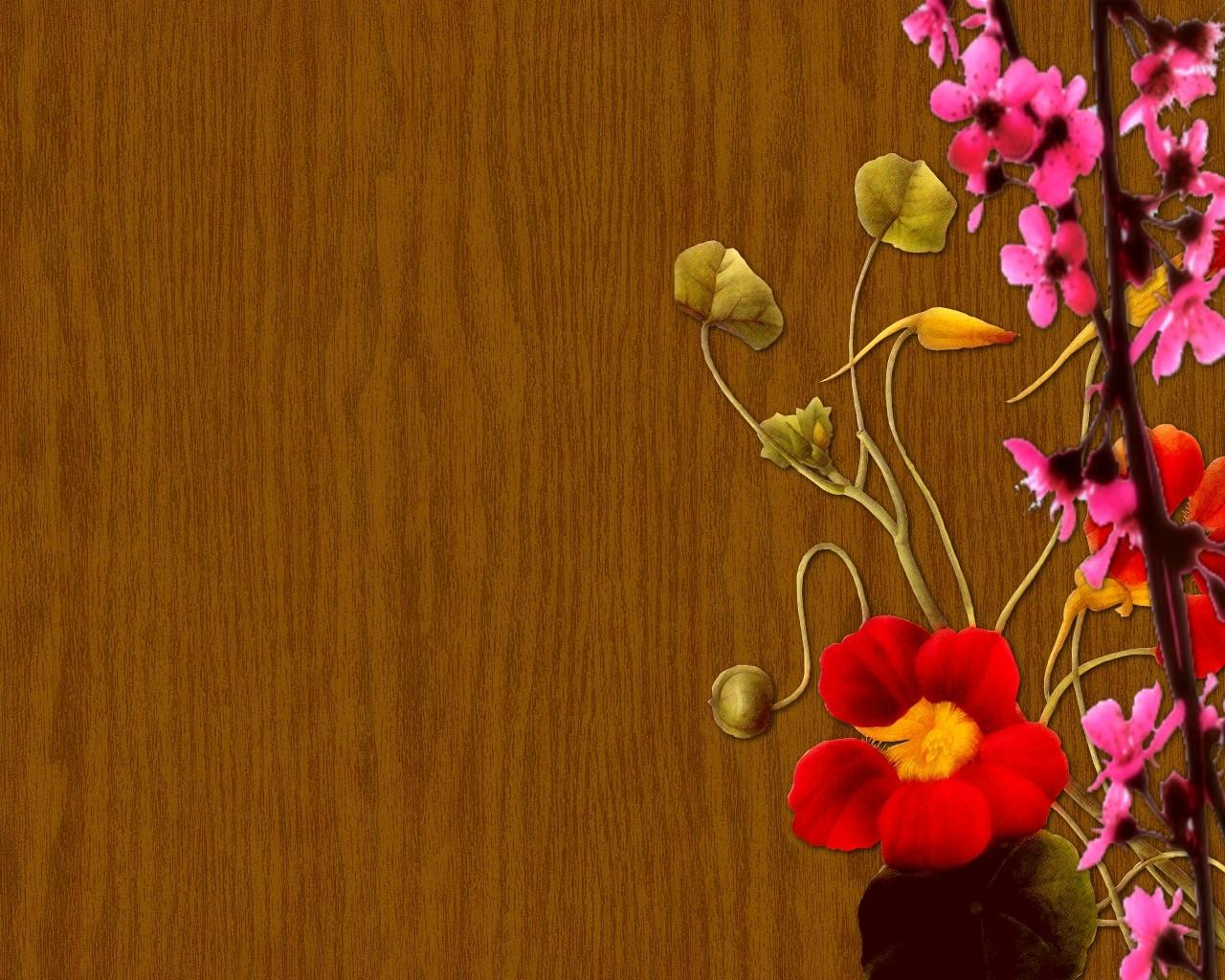 EE6699 Color wallpaper: Merry Christamas Flowers Blooms Nice Petals