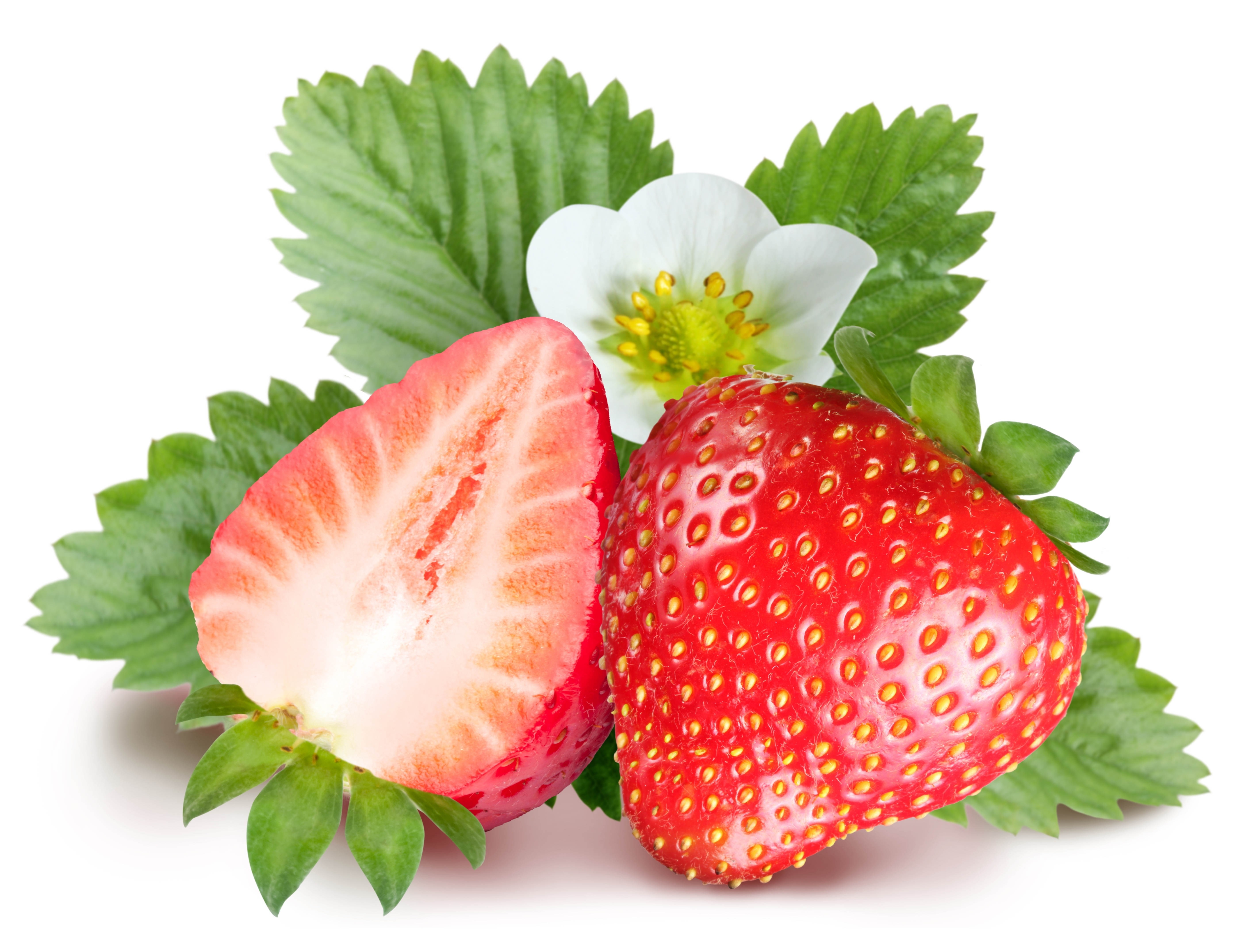strawberry plant flower image. Strawberry image, strawberry