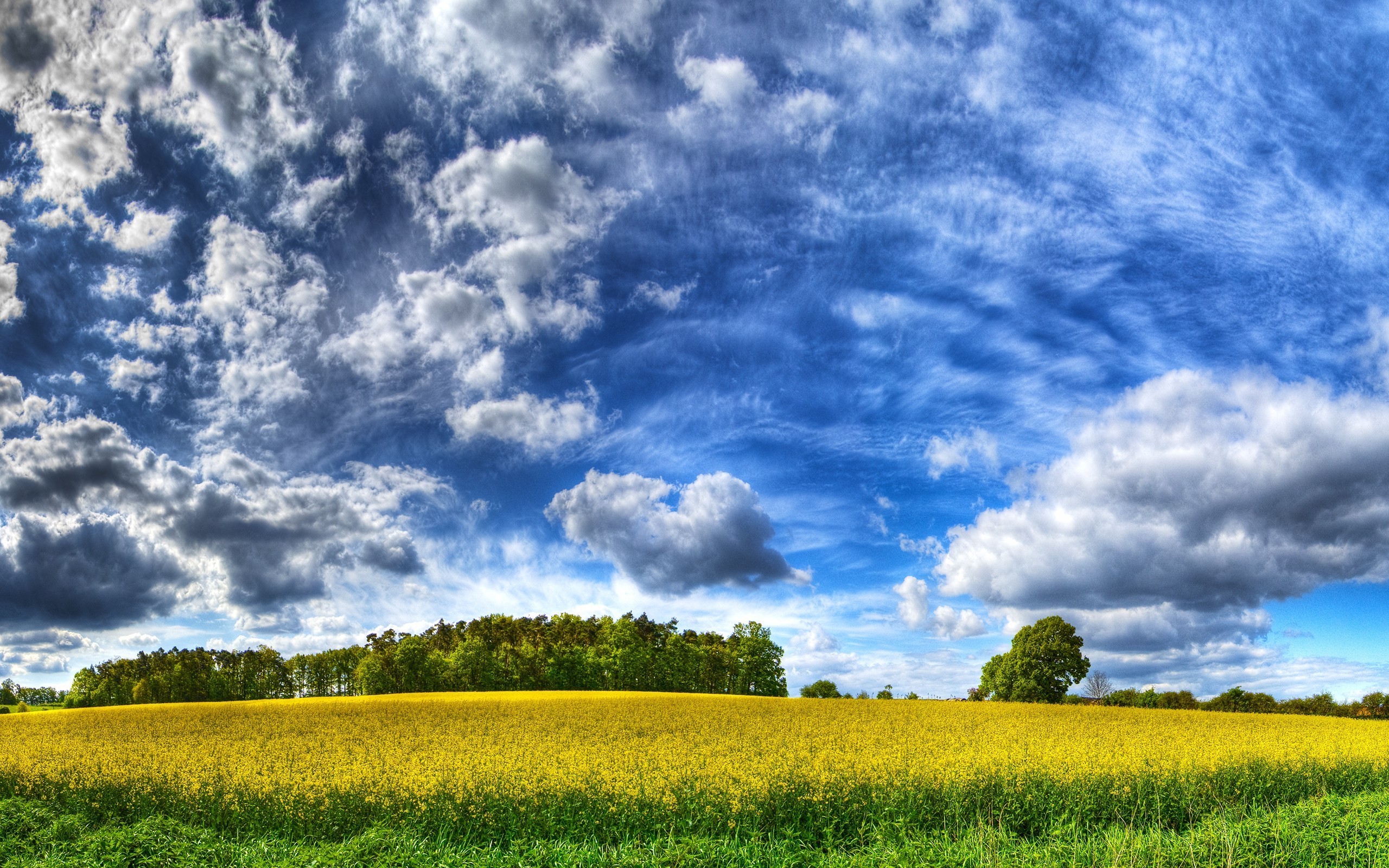 nature landscape hdr field trees clouds wallpaper