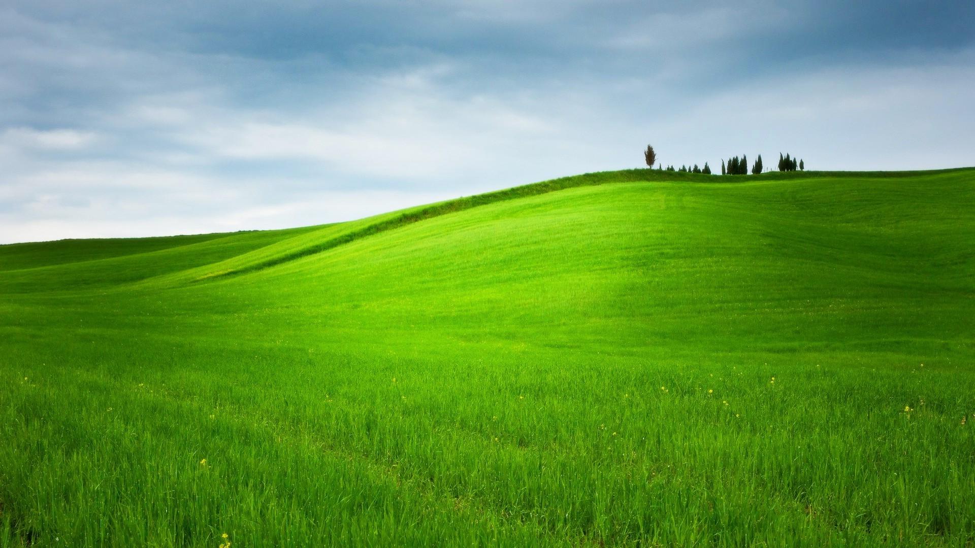 hill, Grass, Trees, Landscape, Nature, Field, Green Wallpaper HD