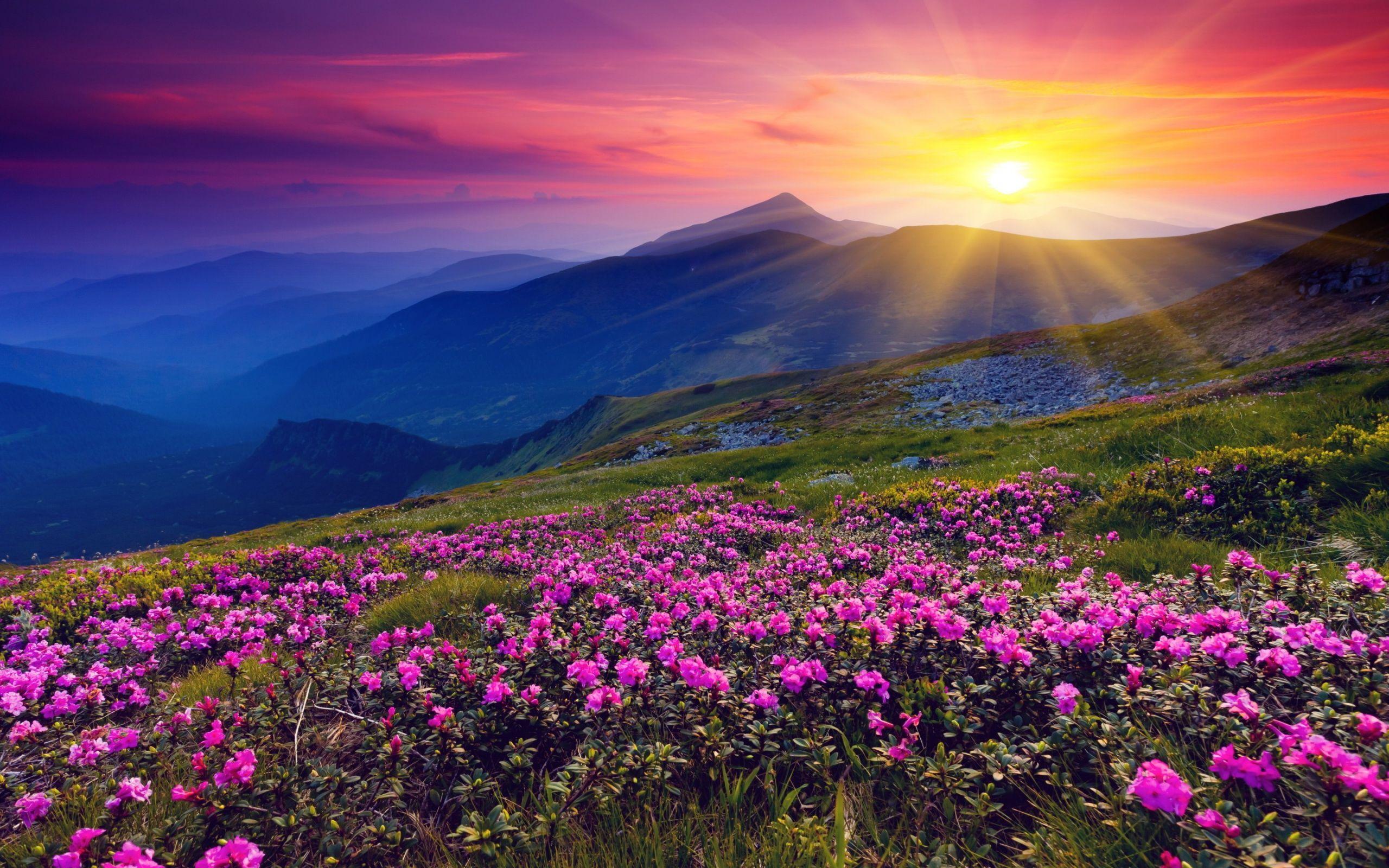 Beautiful Mountain Sunset Wallpaper