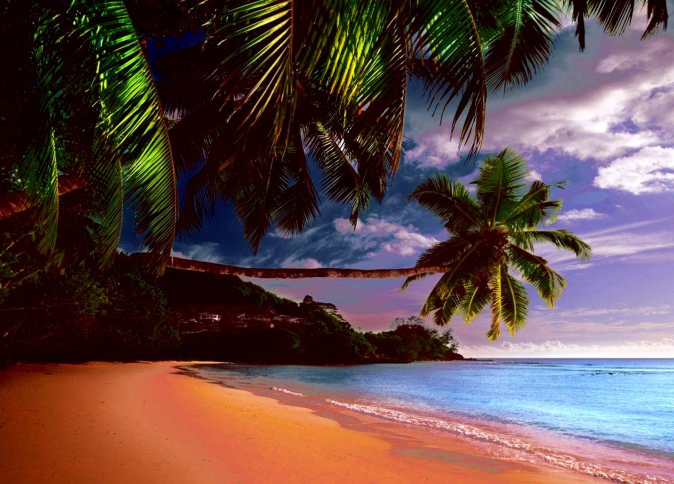 Tropical Beach Under Palms Wallpaper HD Desktop. Tab