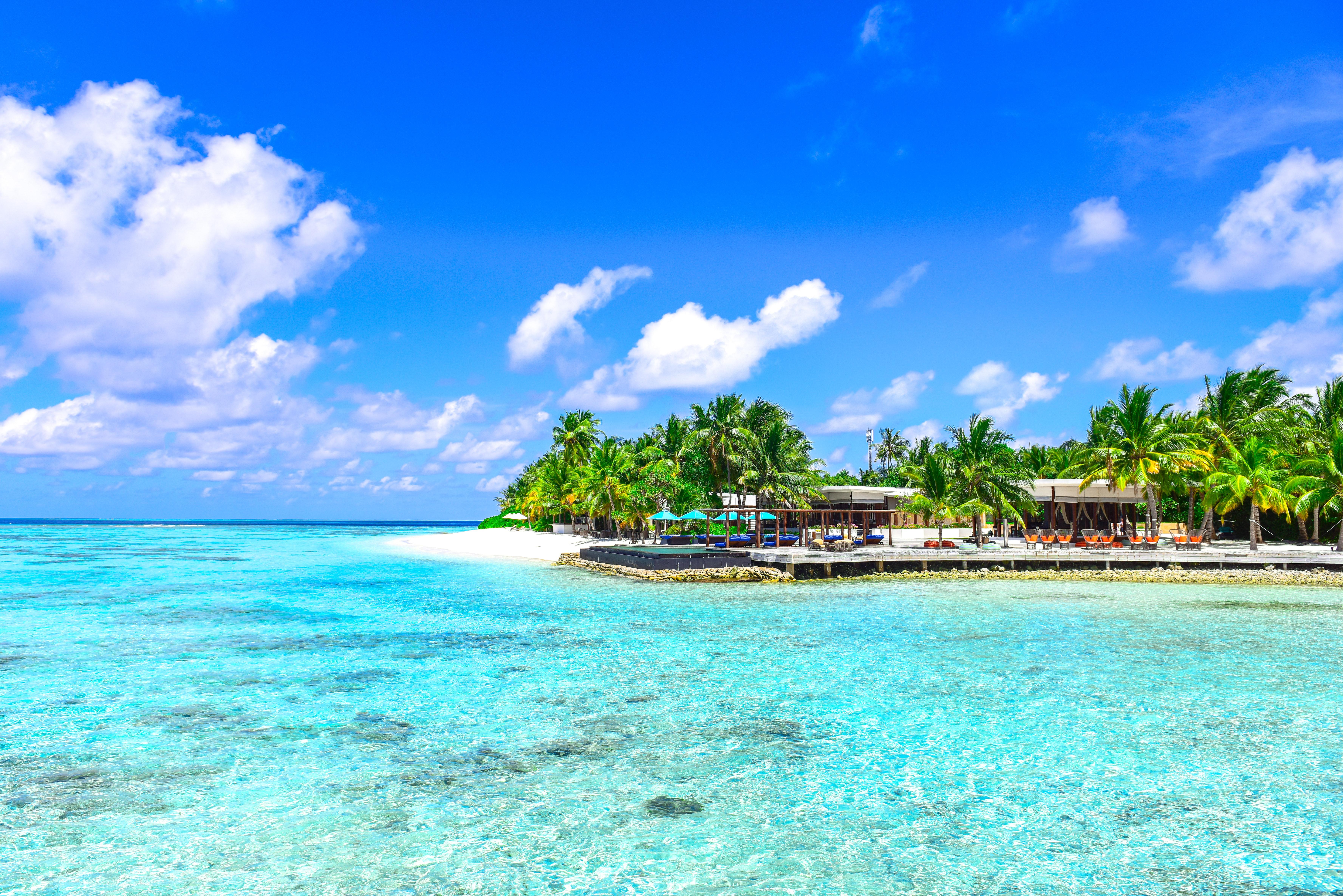 Download wallpaper 7108x4744 palms, ocean, beach, vacation, paradise