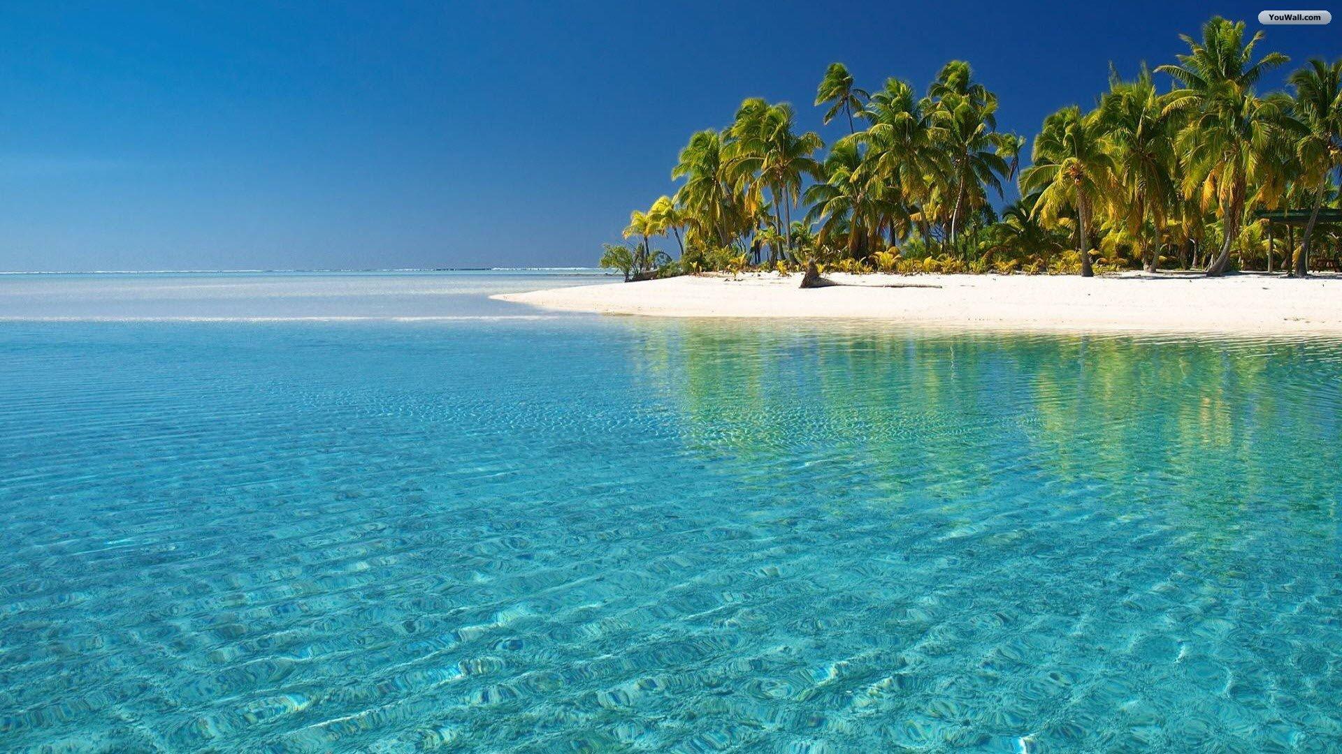 Beach Paradise Wallpaper