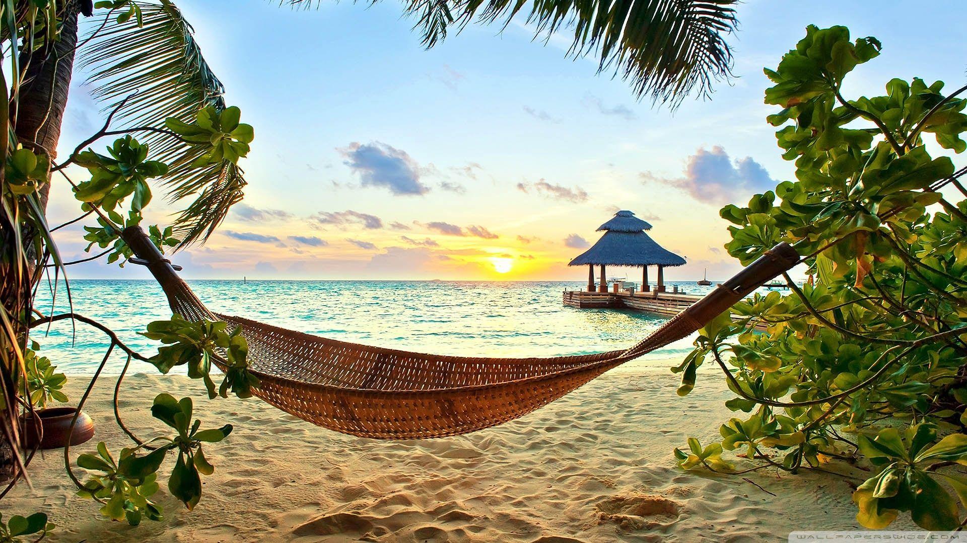 Tropical Paradise Wallpaper