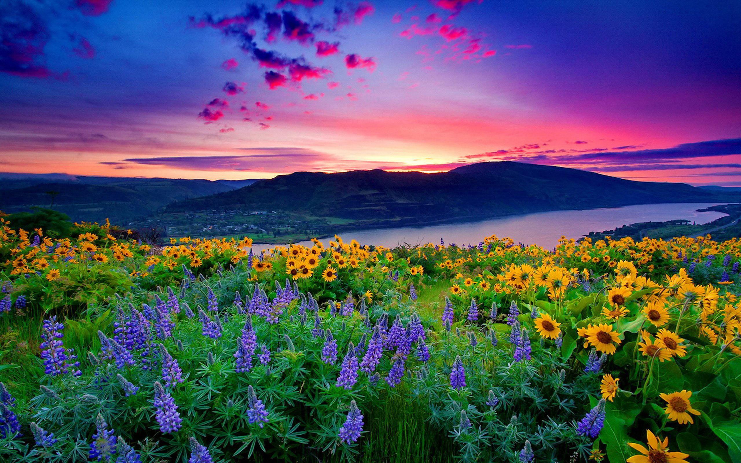 Beautiful Mountain Scenery Wallpapers Wallpaper Cave Beautiful Mountain Scenery Wallpapers Wallpaper Cave
