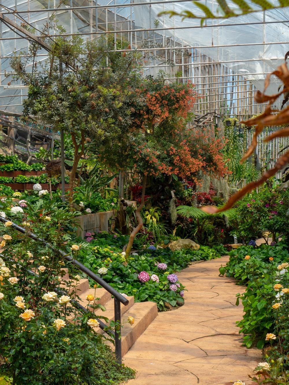 Garden Photo [HD]. Download Free Photo