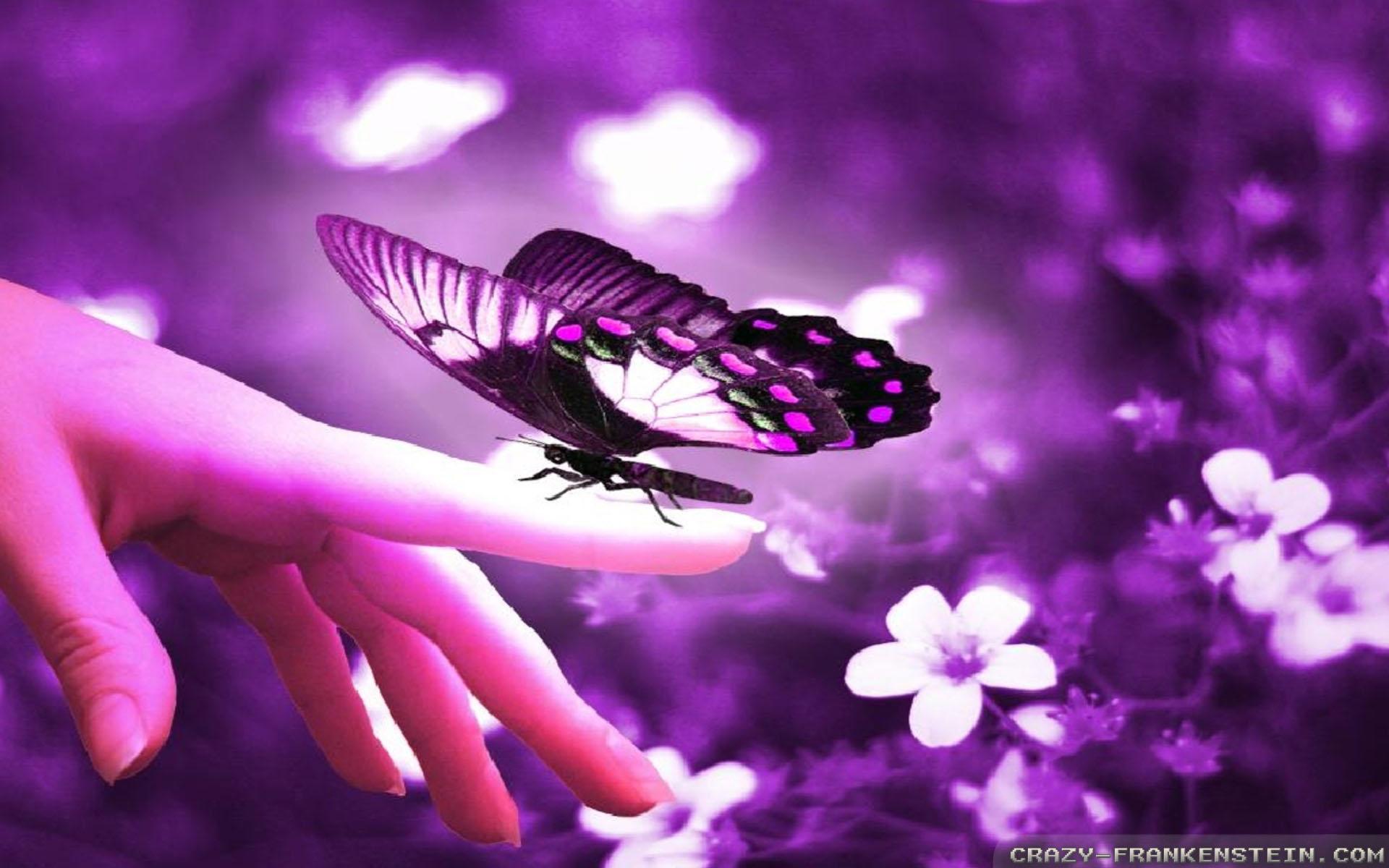 Butterfly With Flowers Wallpaper