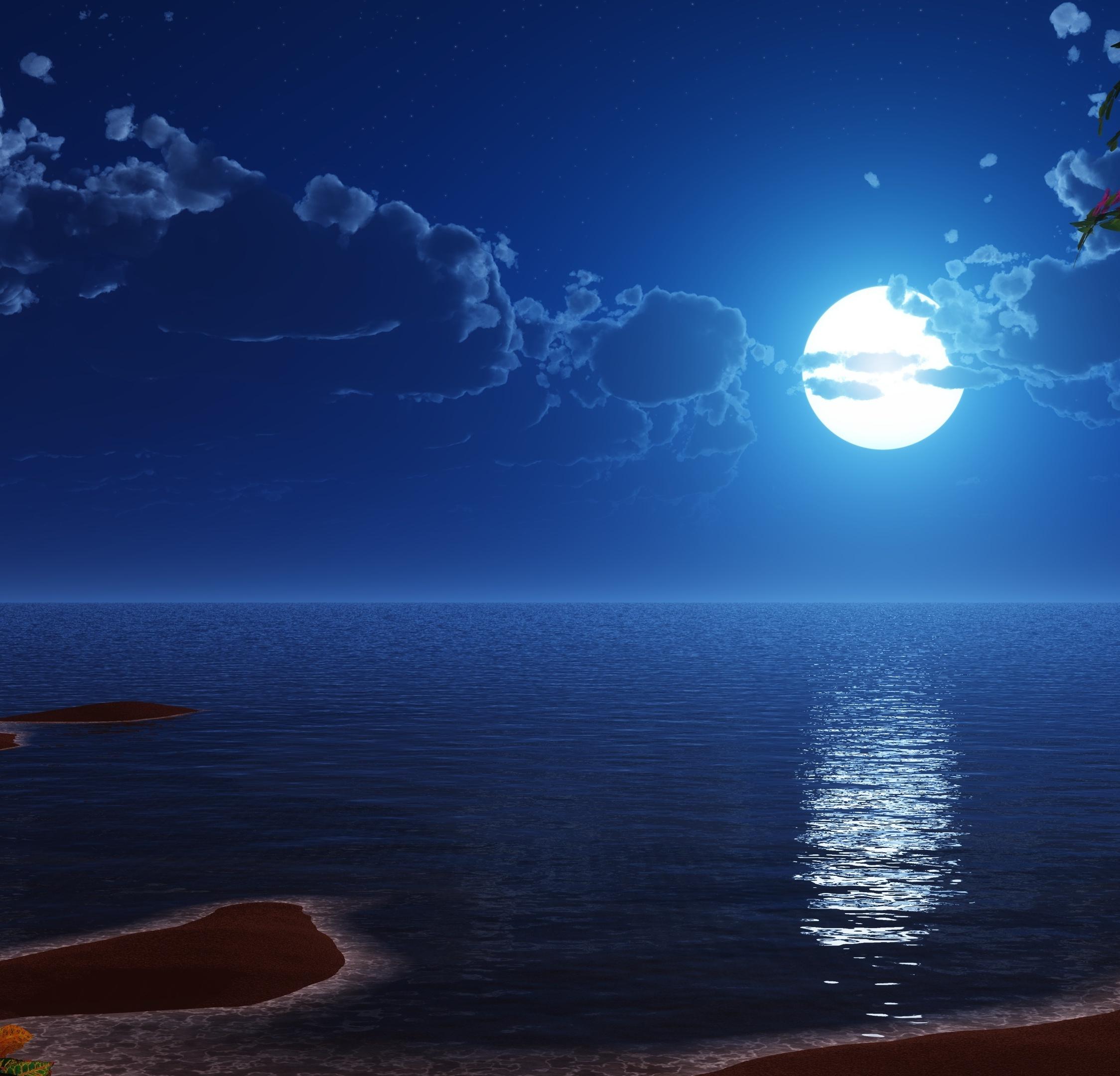 Download 2248x2248 wallpaper tropical beach, coast, full moon, night