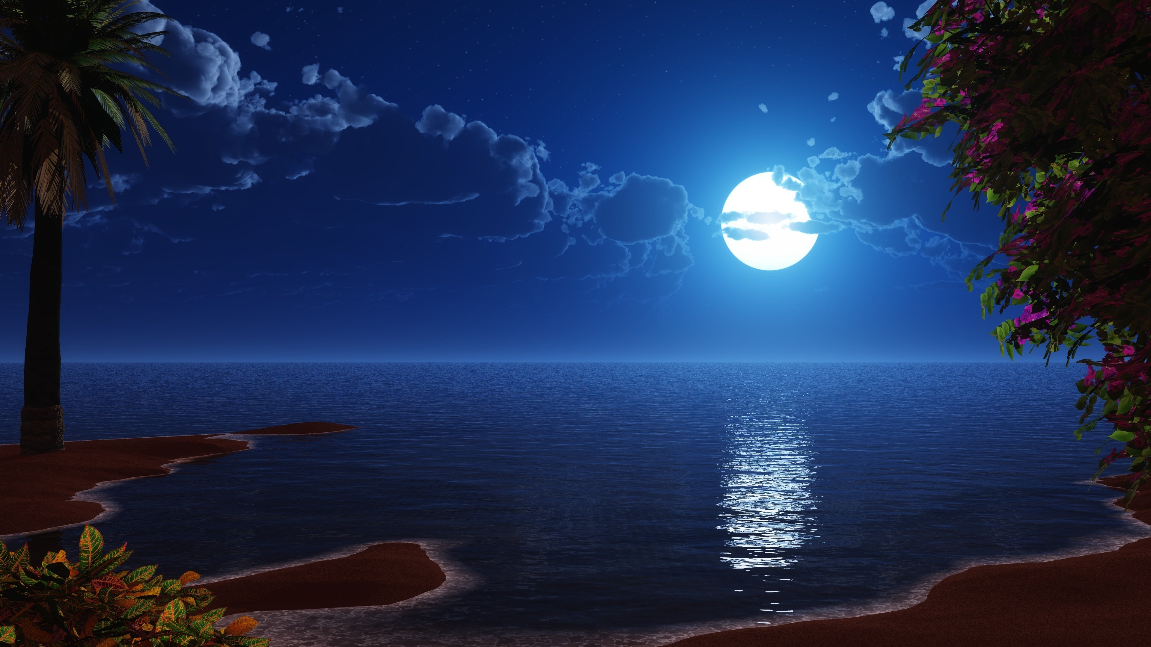 Download 3840x2400 wallpaper tropical beach, coast, full moon, night