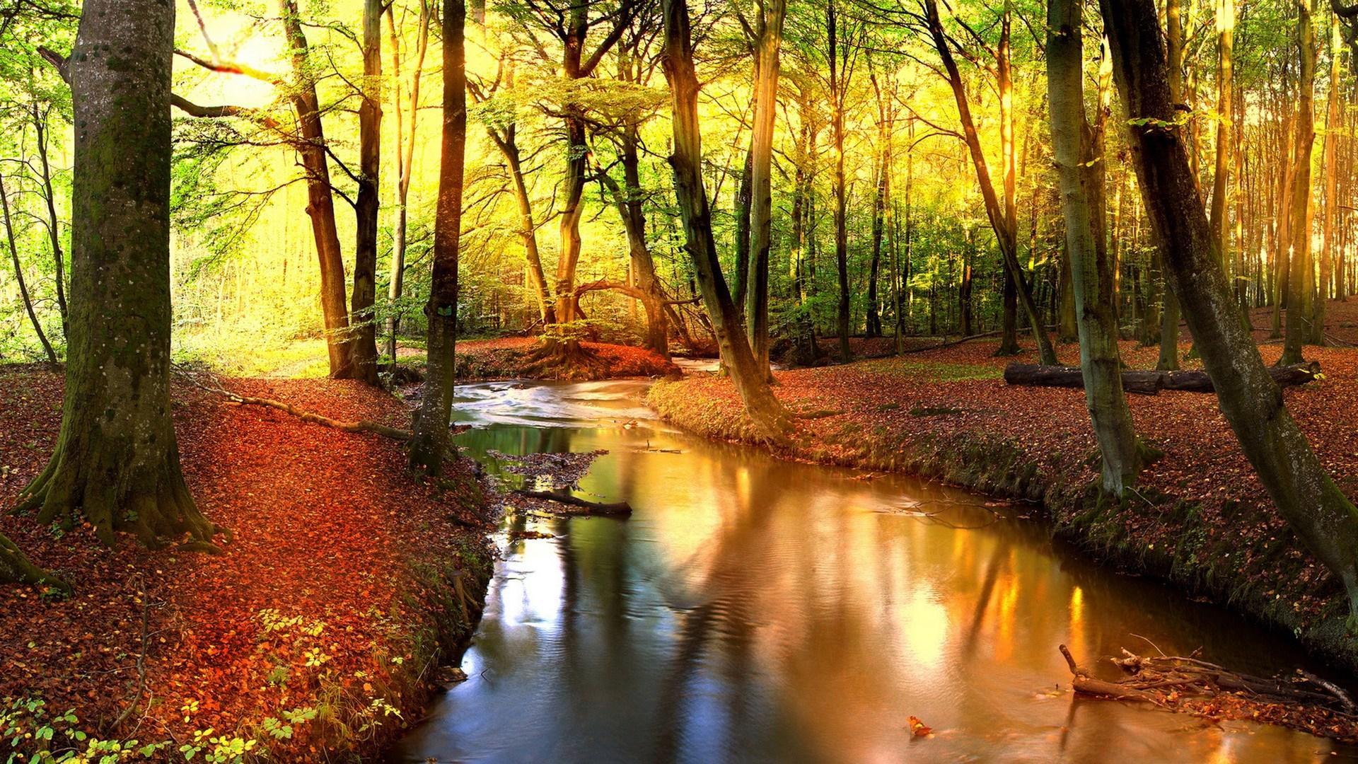 Forest Stream Painting HD Wallpaper, Background Image