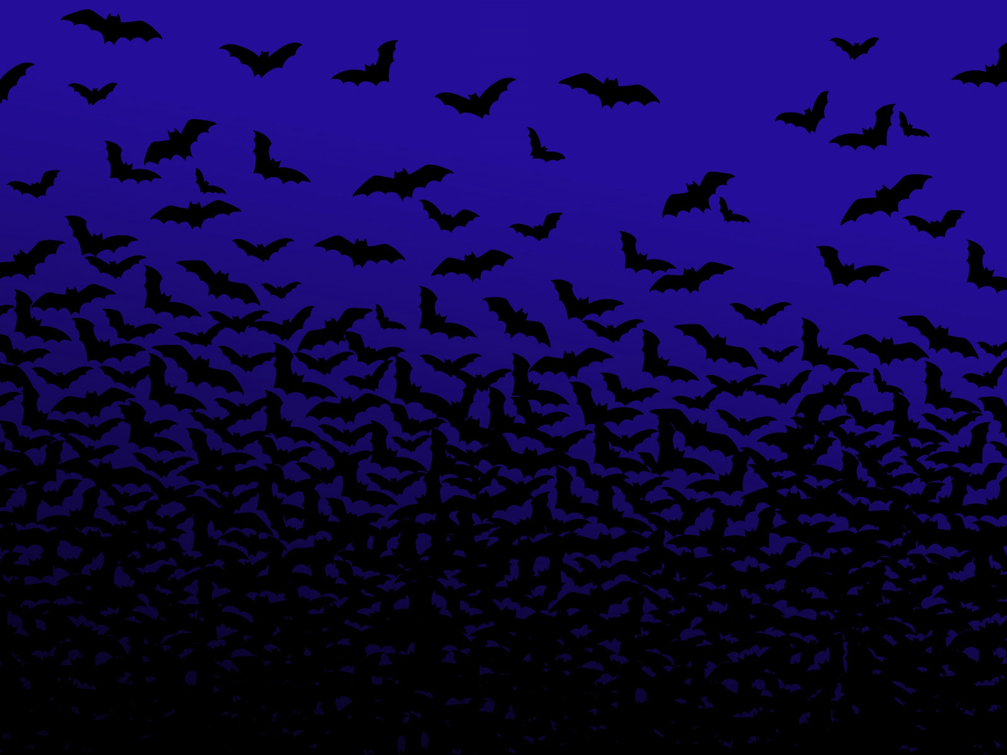 swarm mammals bats night sky 3200x2400 wallpaper High Quality
