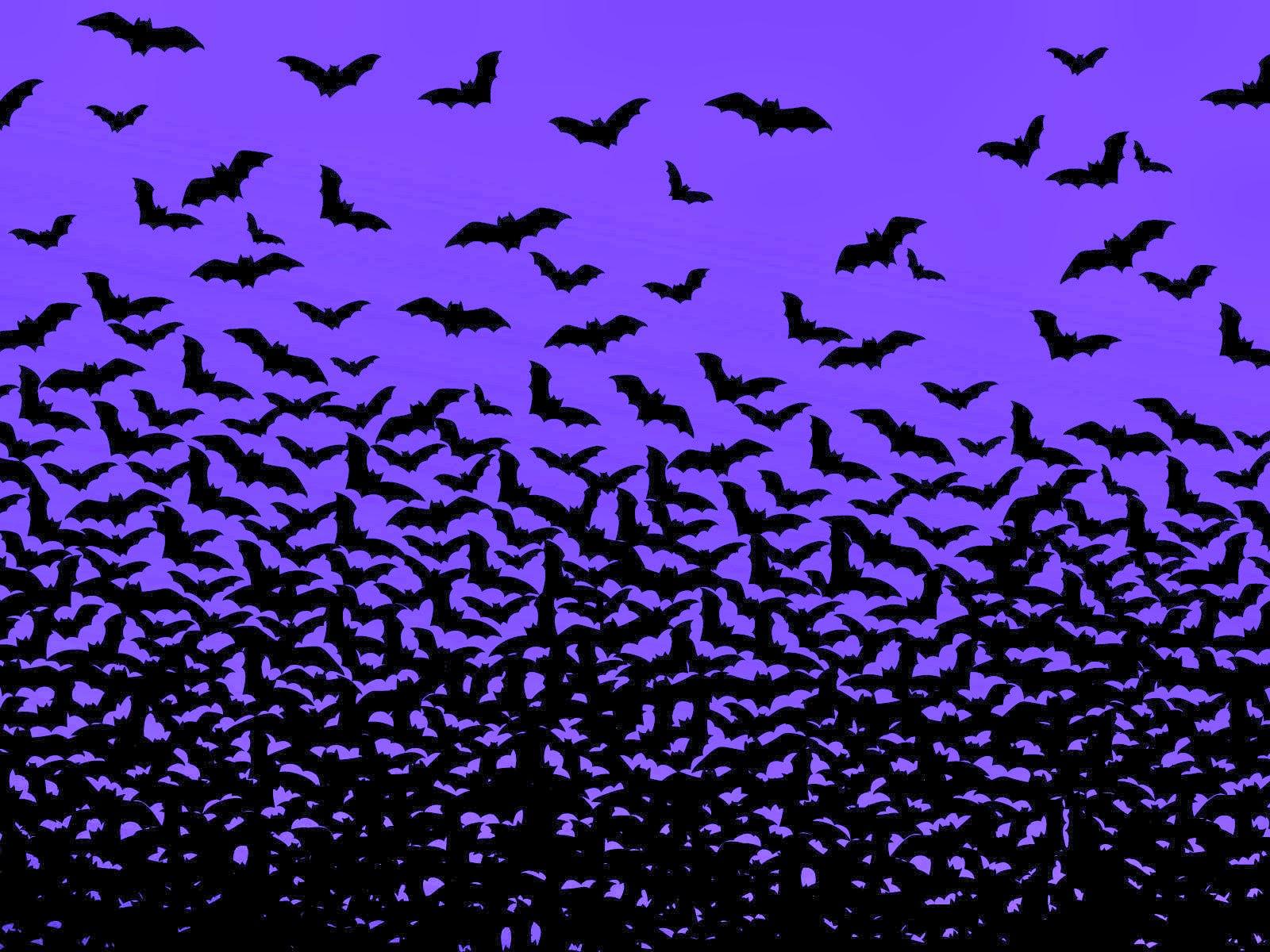Bat Wallpaper