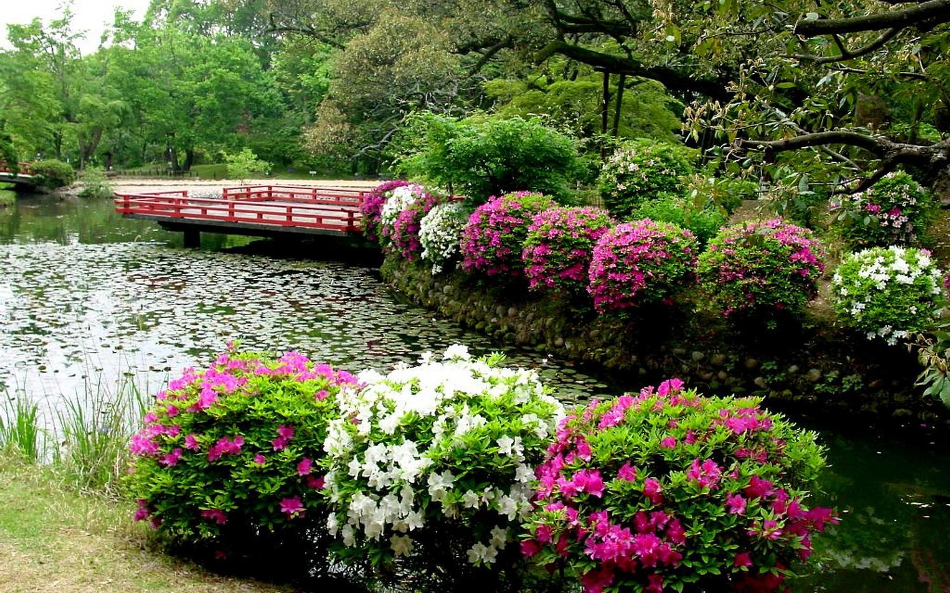 Simple Flower Garden HD Wallpaper, Background Image