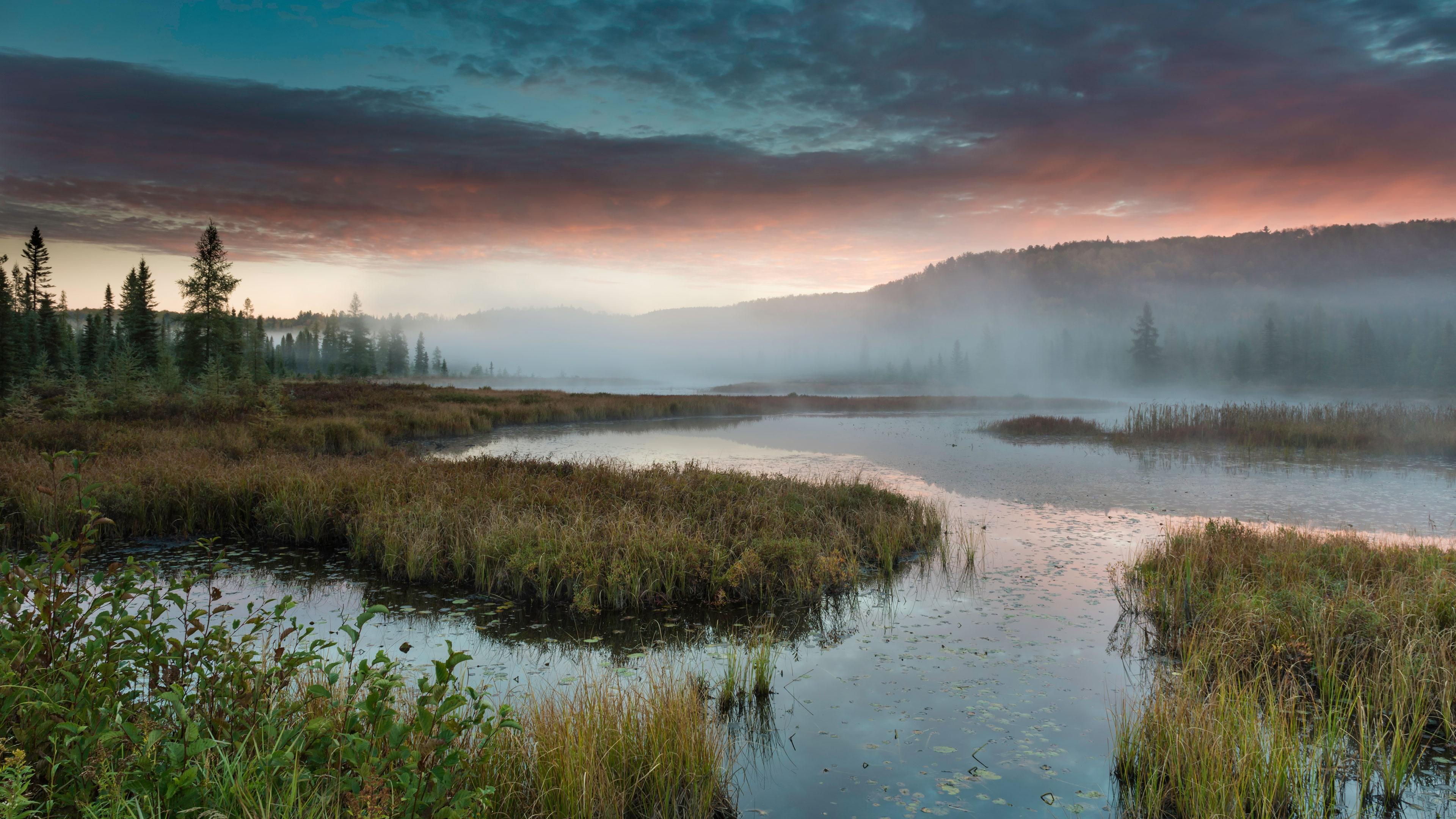 Misty Freshwater Marsh At Dawn 4K UltraHD Wallpaper
