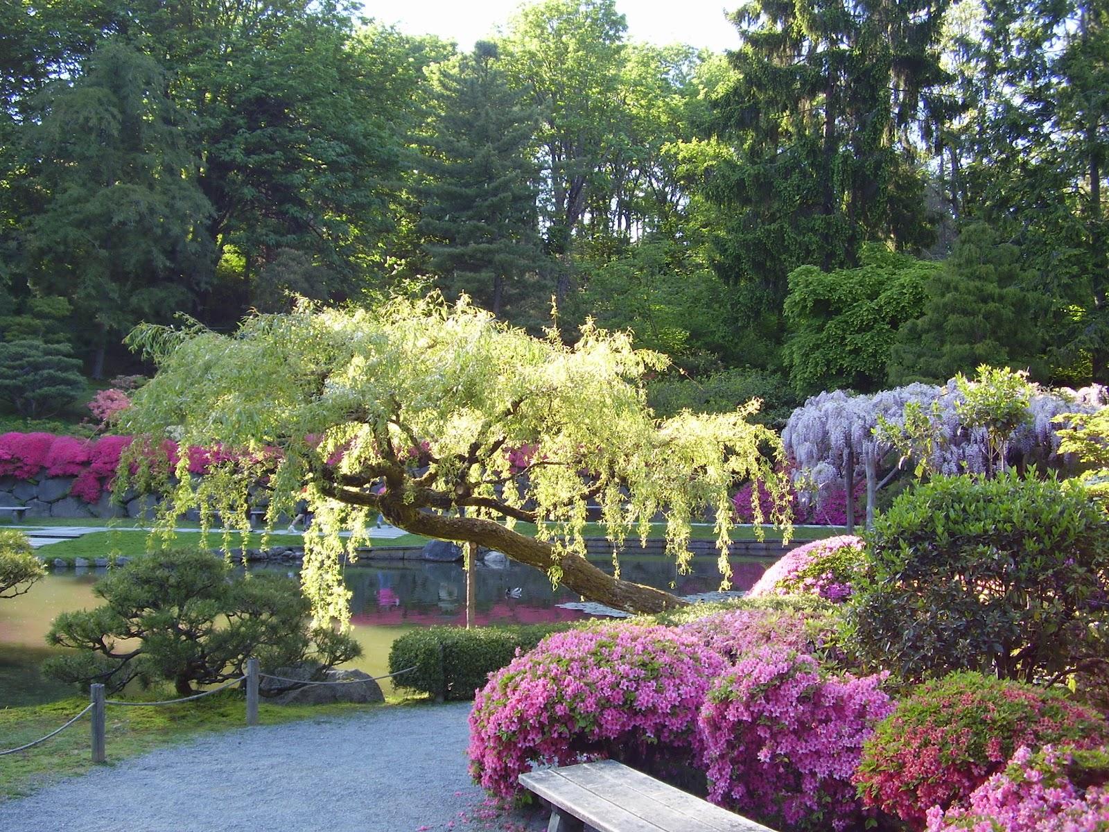 Japanese Garden Wallpaper Background