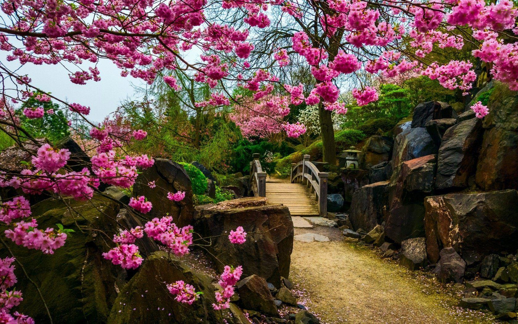 Winter Japanese Garden Wallpaper Free Winter Japanese Garden
