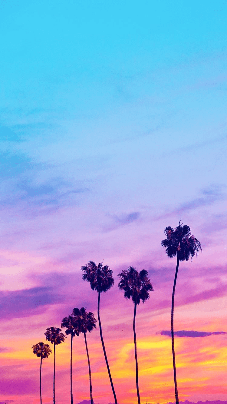 Matt Crump photography Pastel iPhone wallpaper beach sunset palm trees. Palm trees wallpaper, Beach wallpaper iphone, Sunset wallpaper