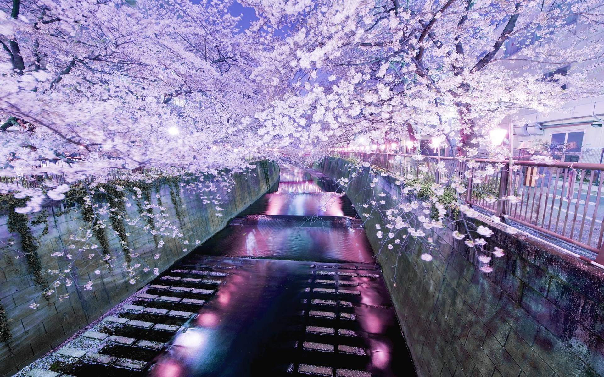 Japanese Nature Wallpaper