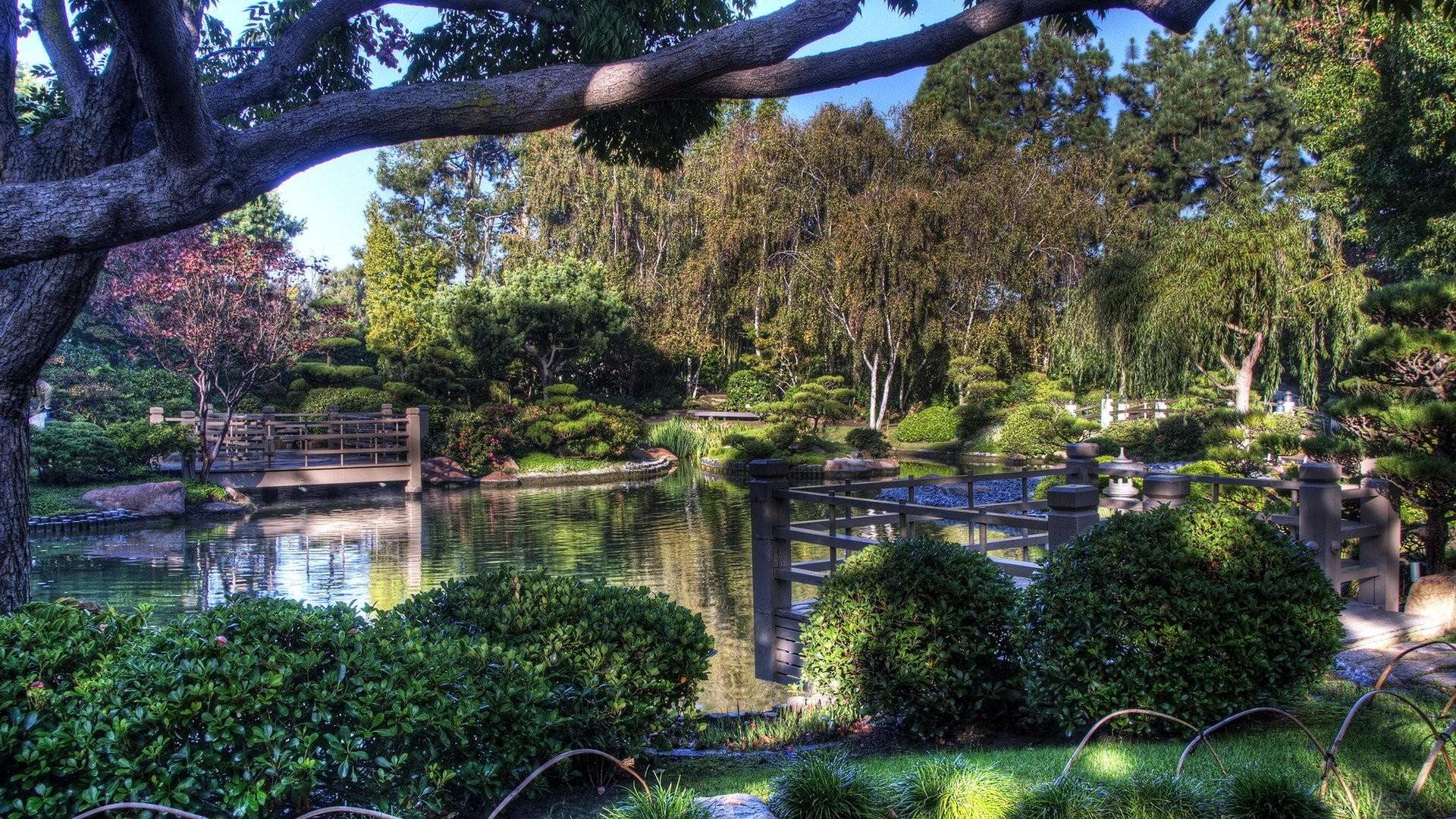 Winter: Lovely Japanese Garden Landscapes Pond Park Flowers Trees